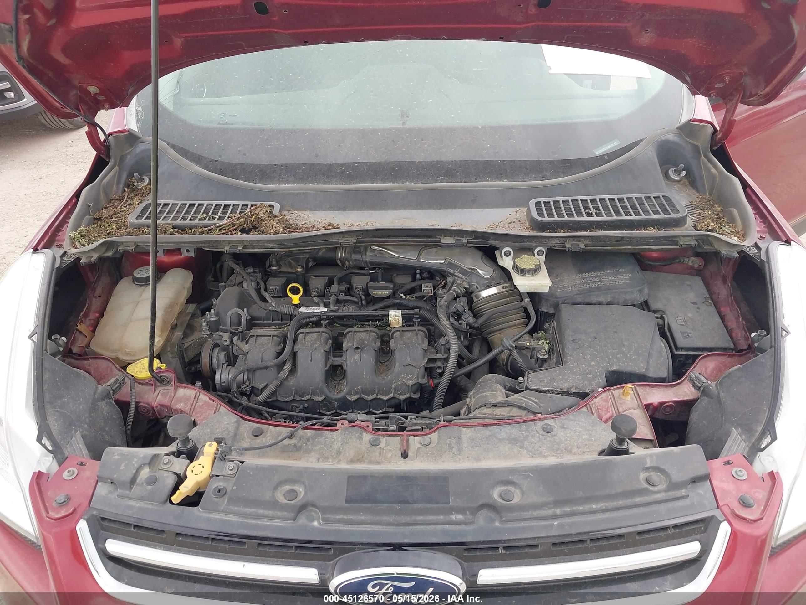FORD ESCAPE image 10