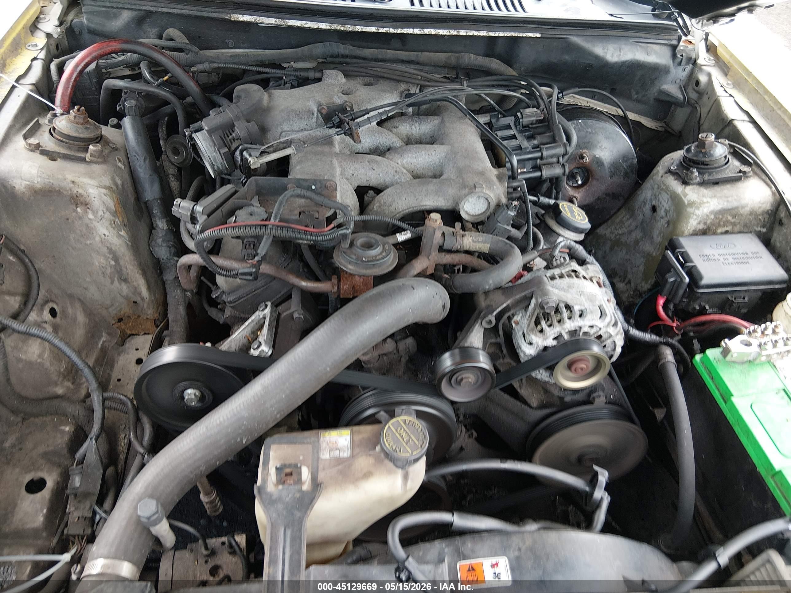 FORD MUSTANG image 10