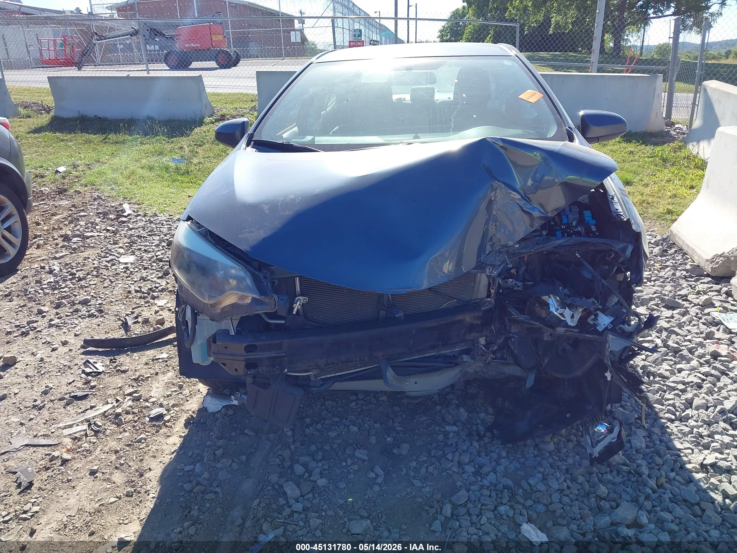 TOYOTA COROLLA image 6
