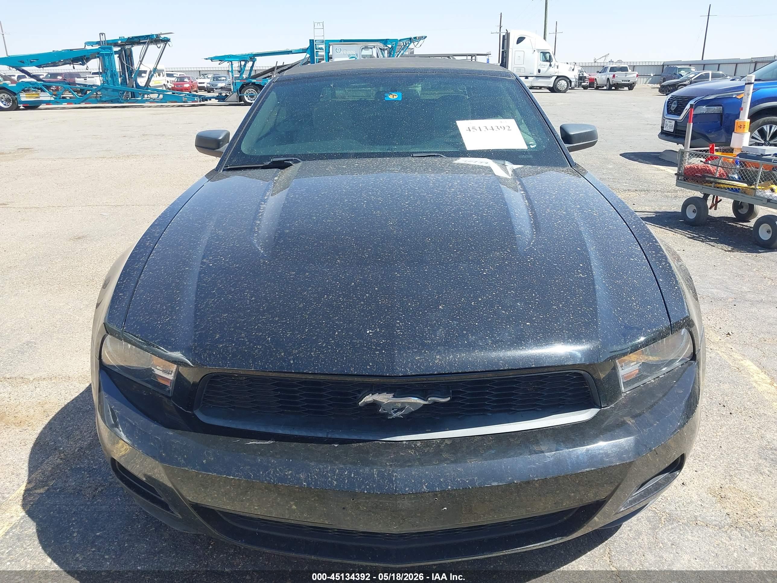 FORD MUSTANG image 6