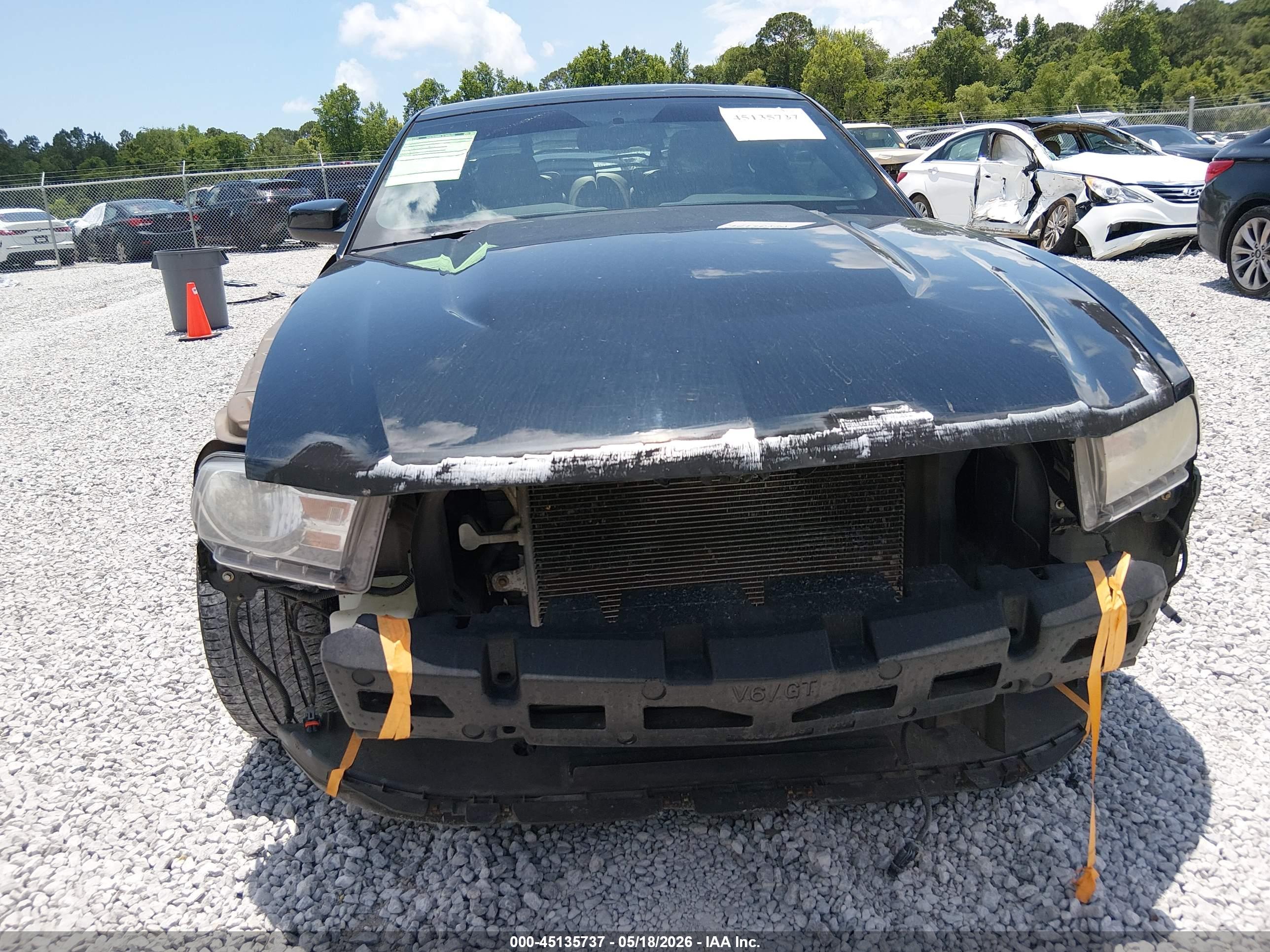 FORD MUSTANG image 6