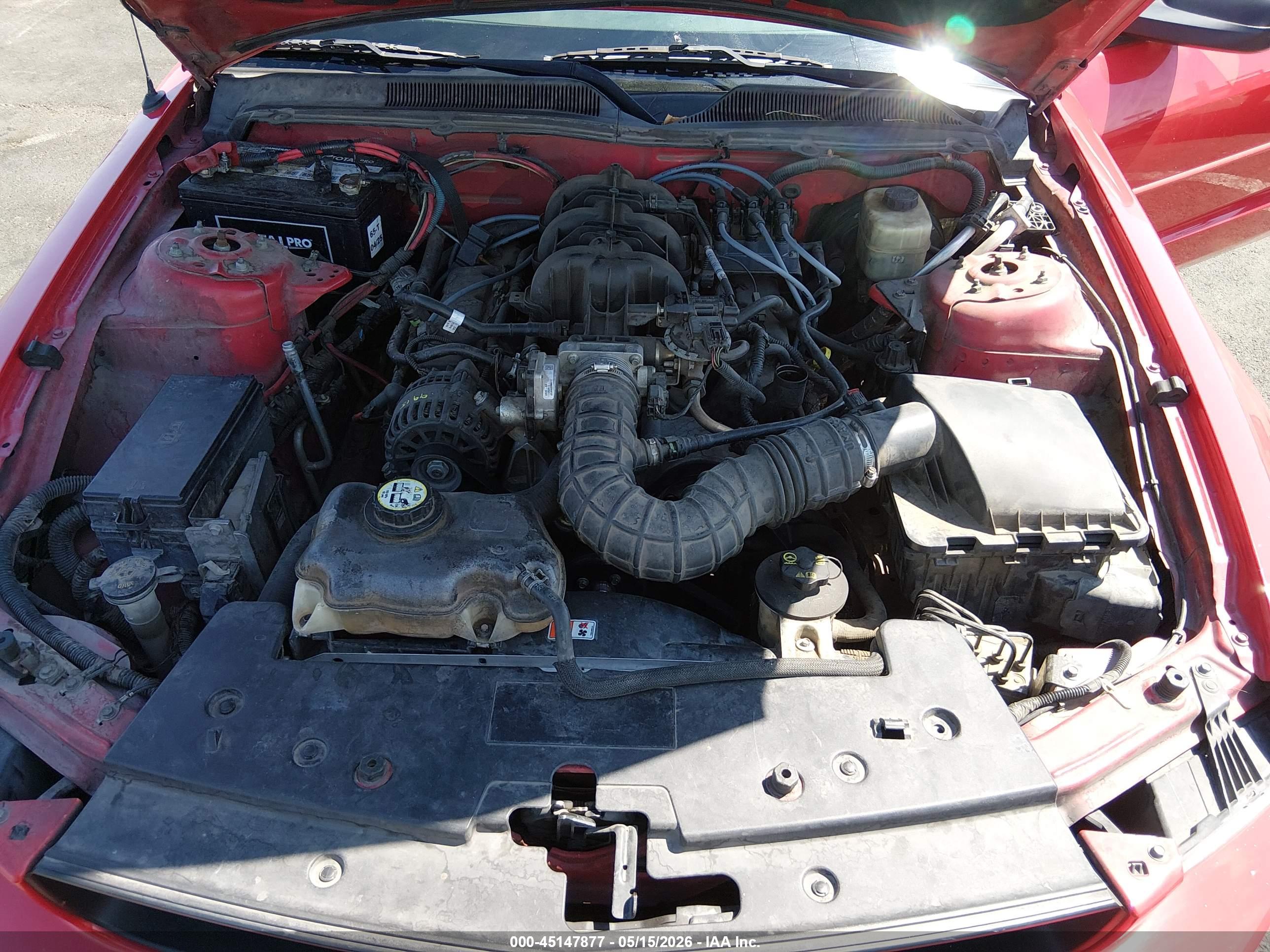 FORD MUSTANG image 10