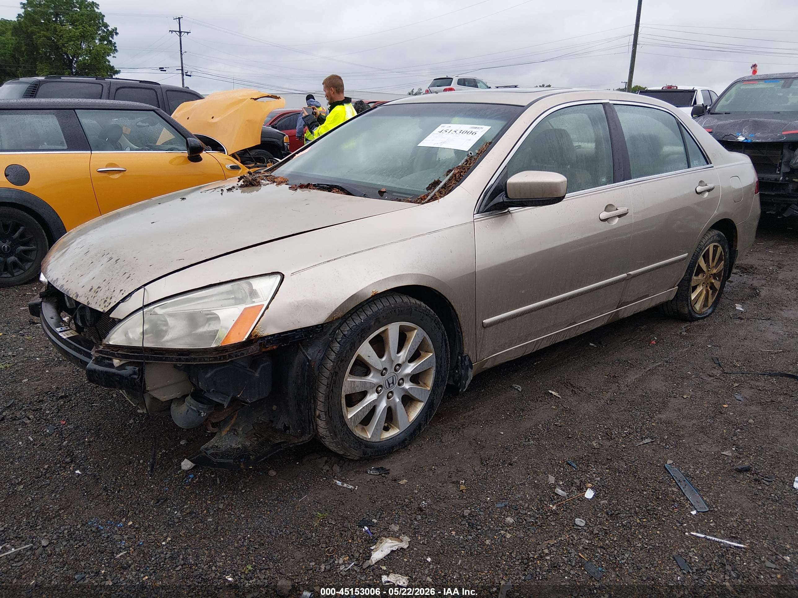 HONDA ACCORD image 2