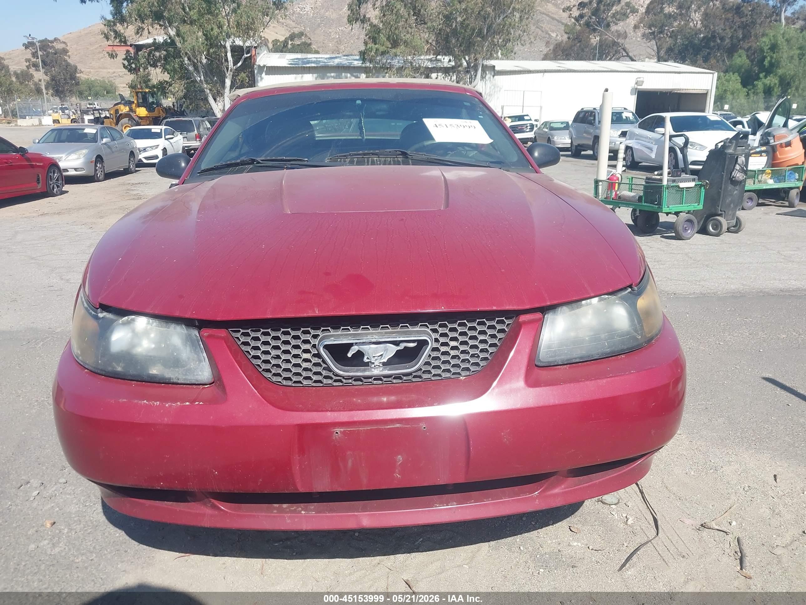 FORD MUSTANG image 6