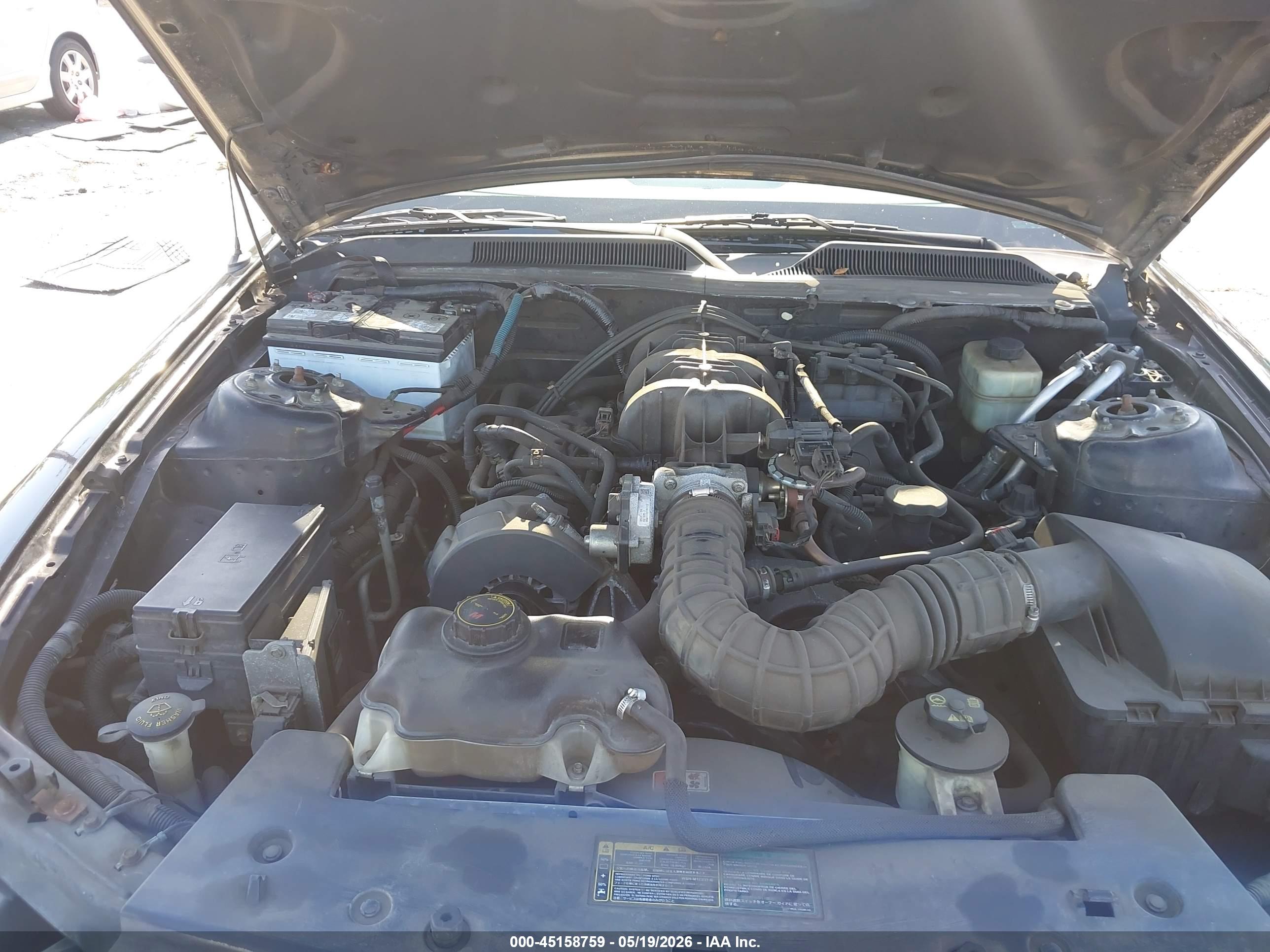 FORD MUSTANG image 10