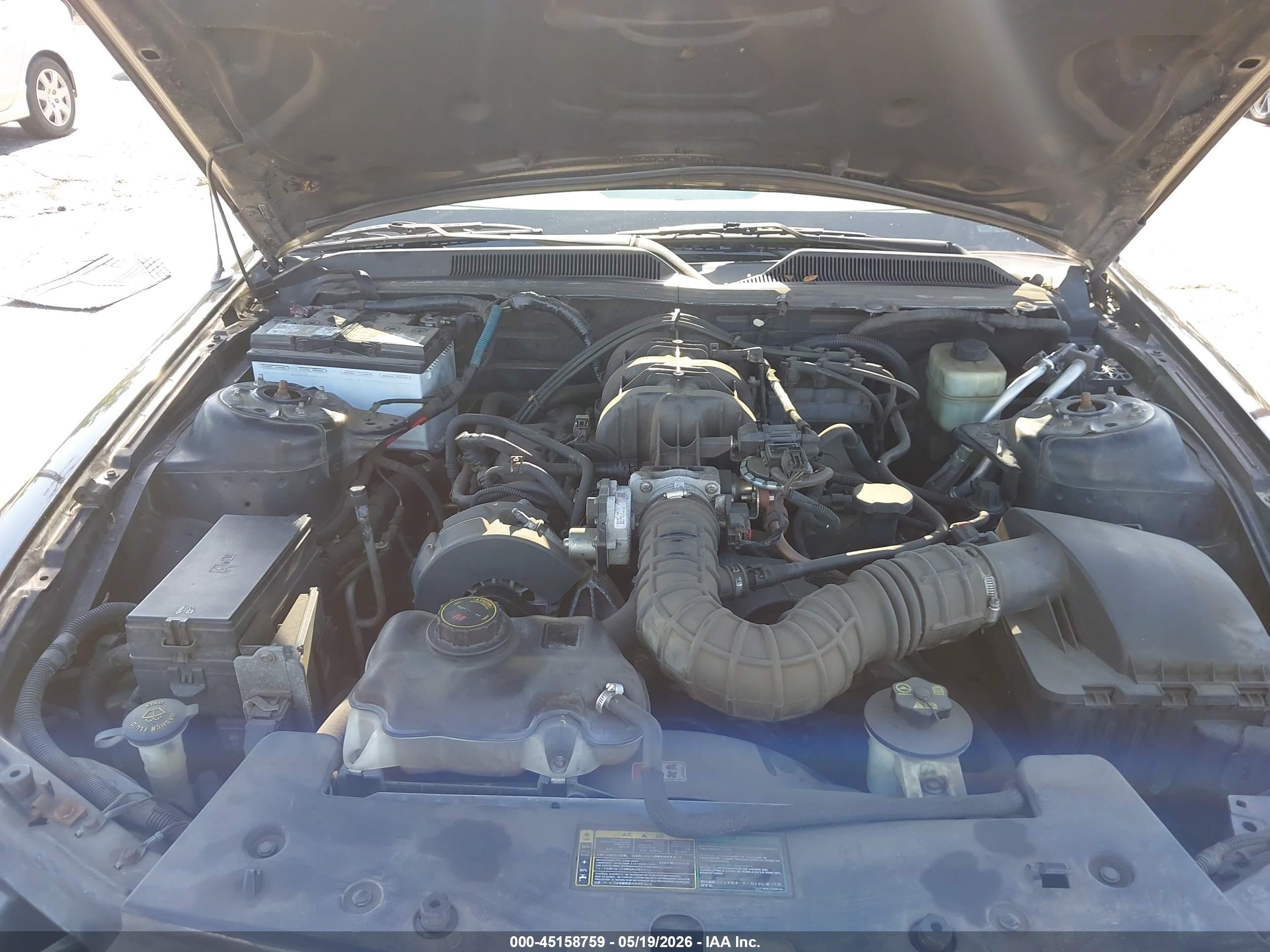 FORD MUSTANG image 6