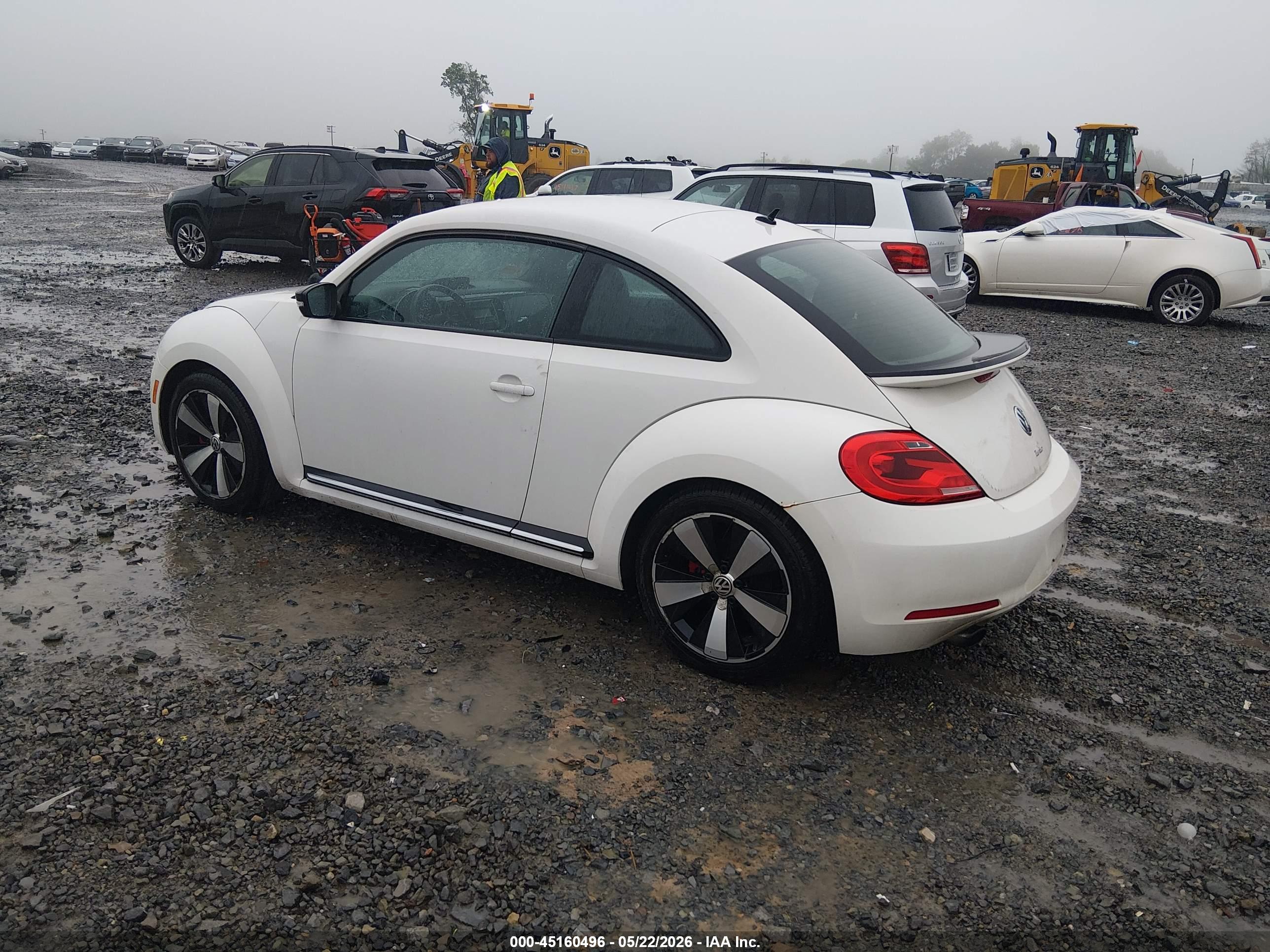 VOLKSWAGEN BEETLE image 3