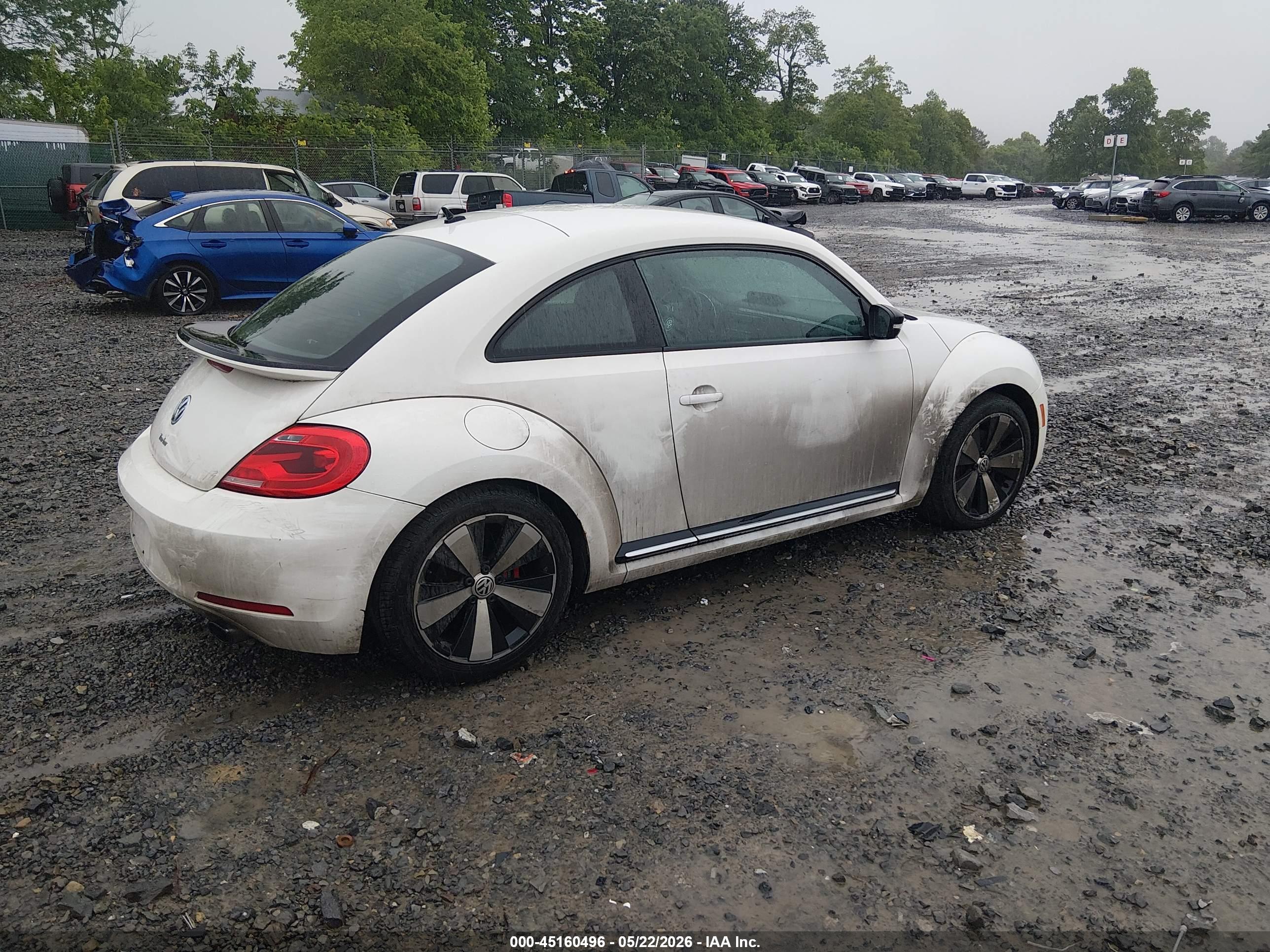 VOLKSWAGEN BEETLE image 4