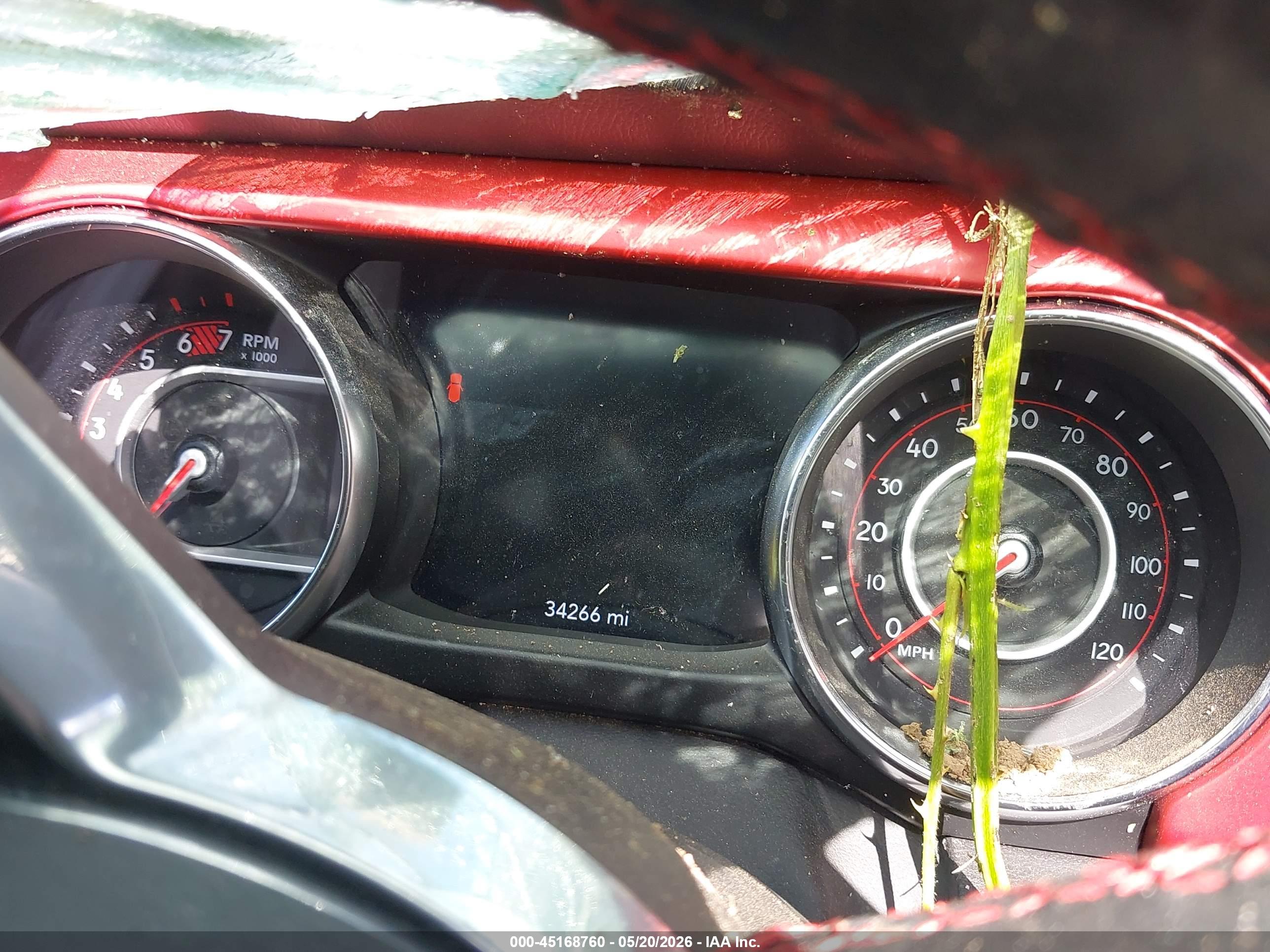 JEEP WRANGLER image 7