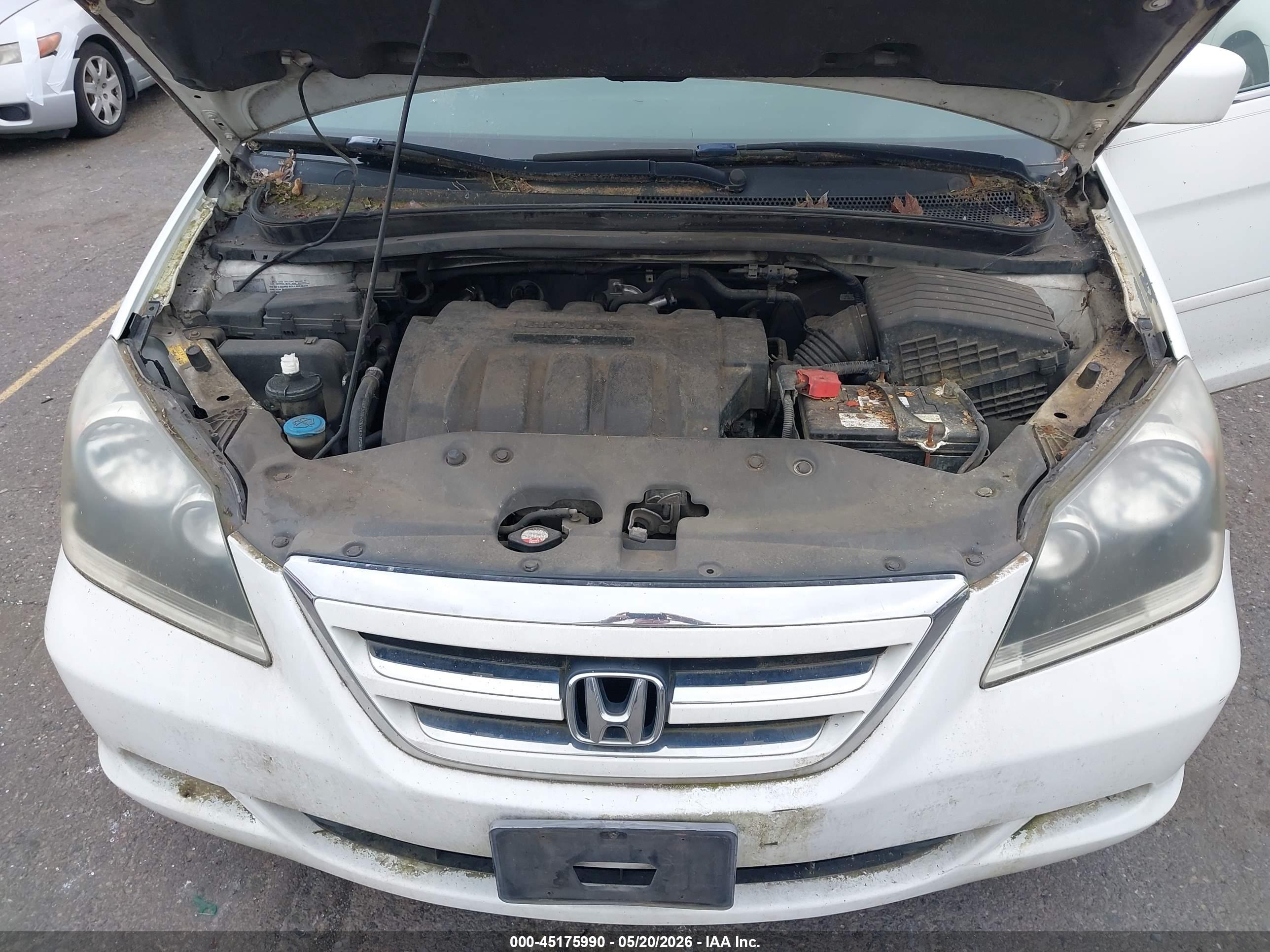 HONDA ODYSSEY image 10