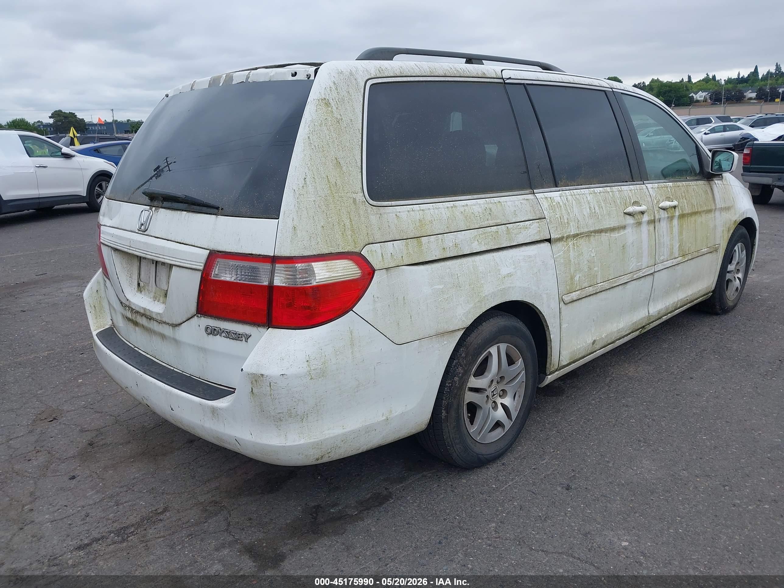 HONDA ODYSSEY image 4