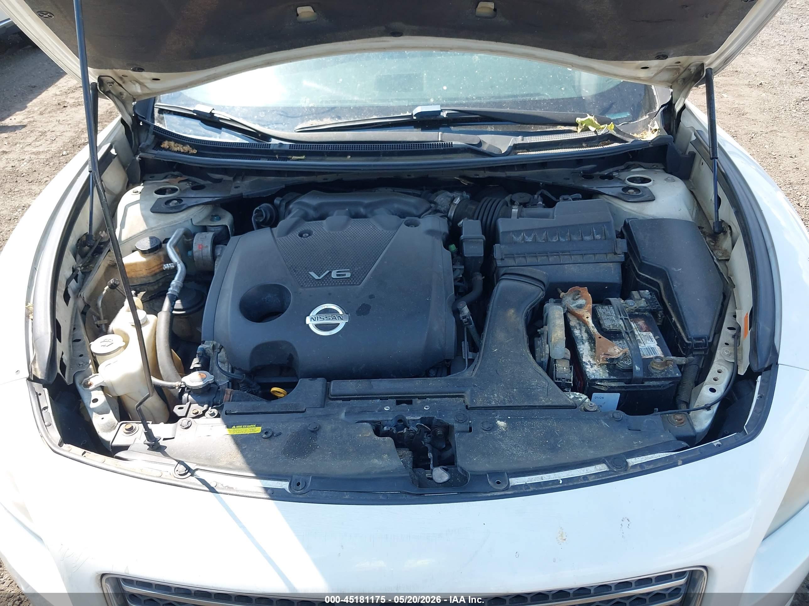 NISSAN MAXIMA image 10