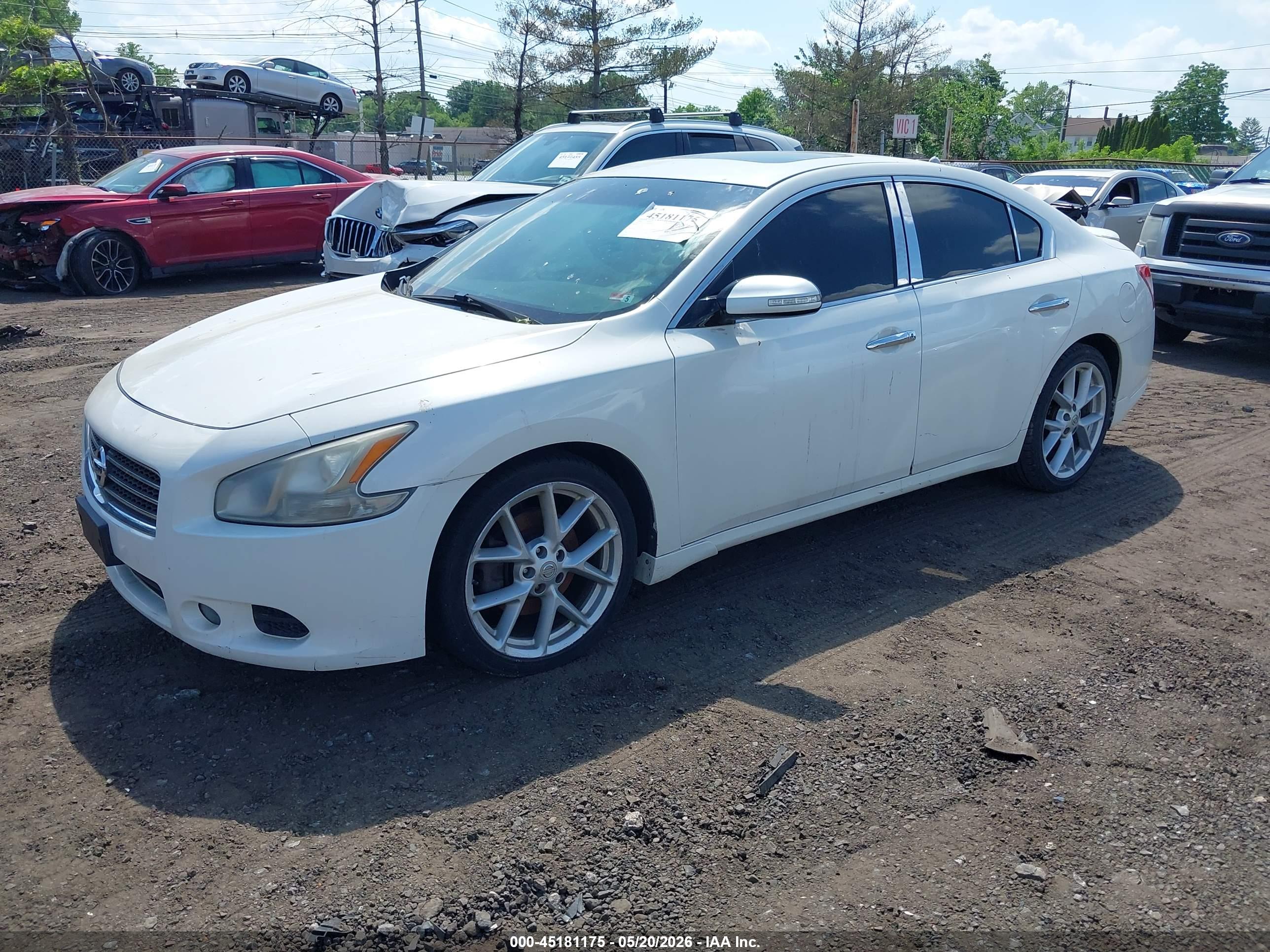 NISSAN MAXIMA image 2