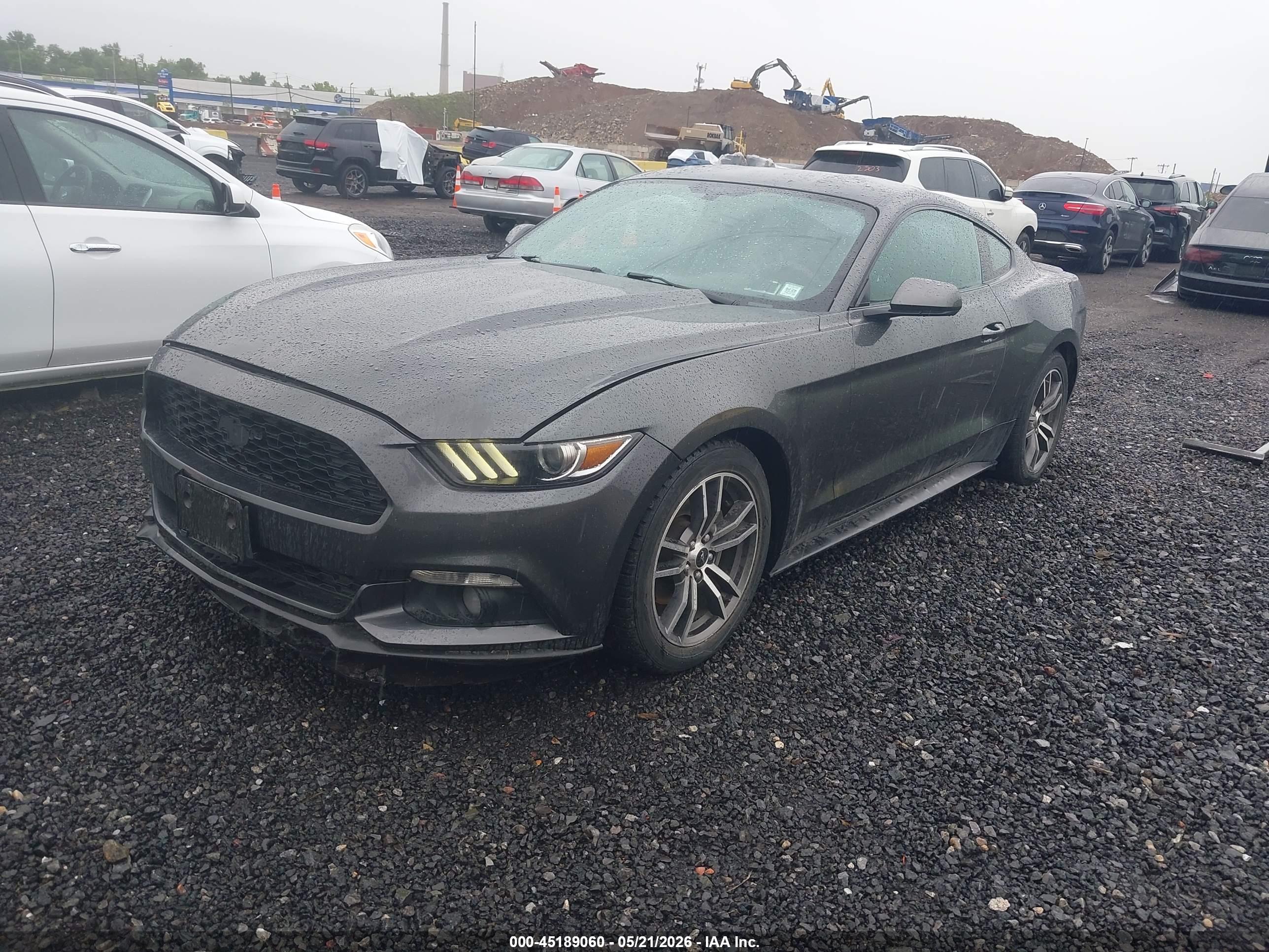 FORD MUSTANG image 2