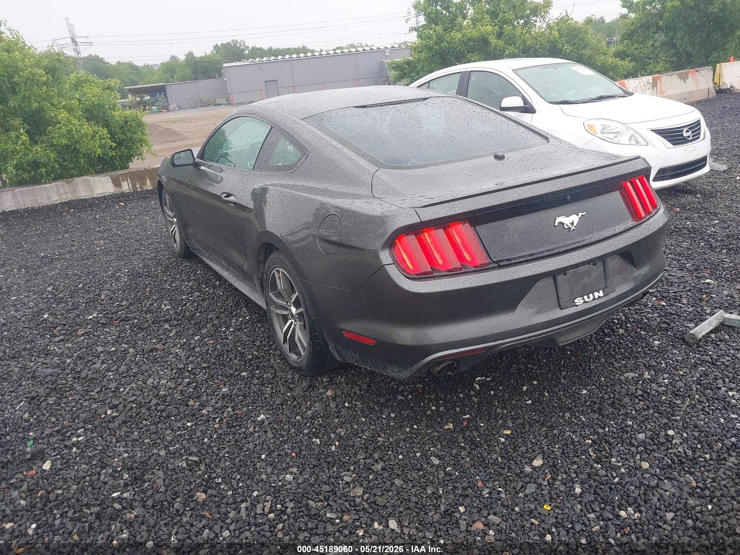 FORD MUSTANG image 3