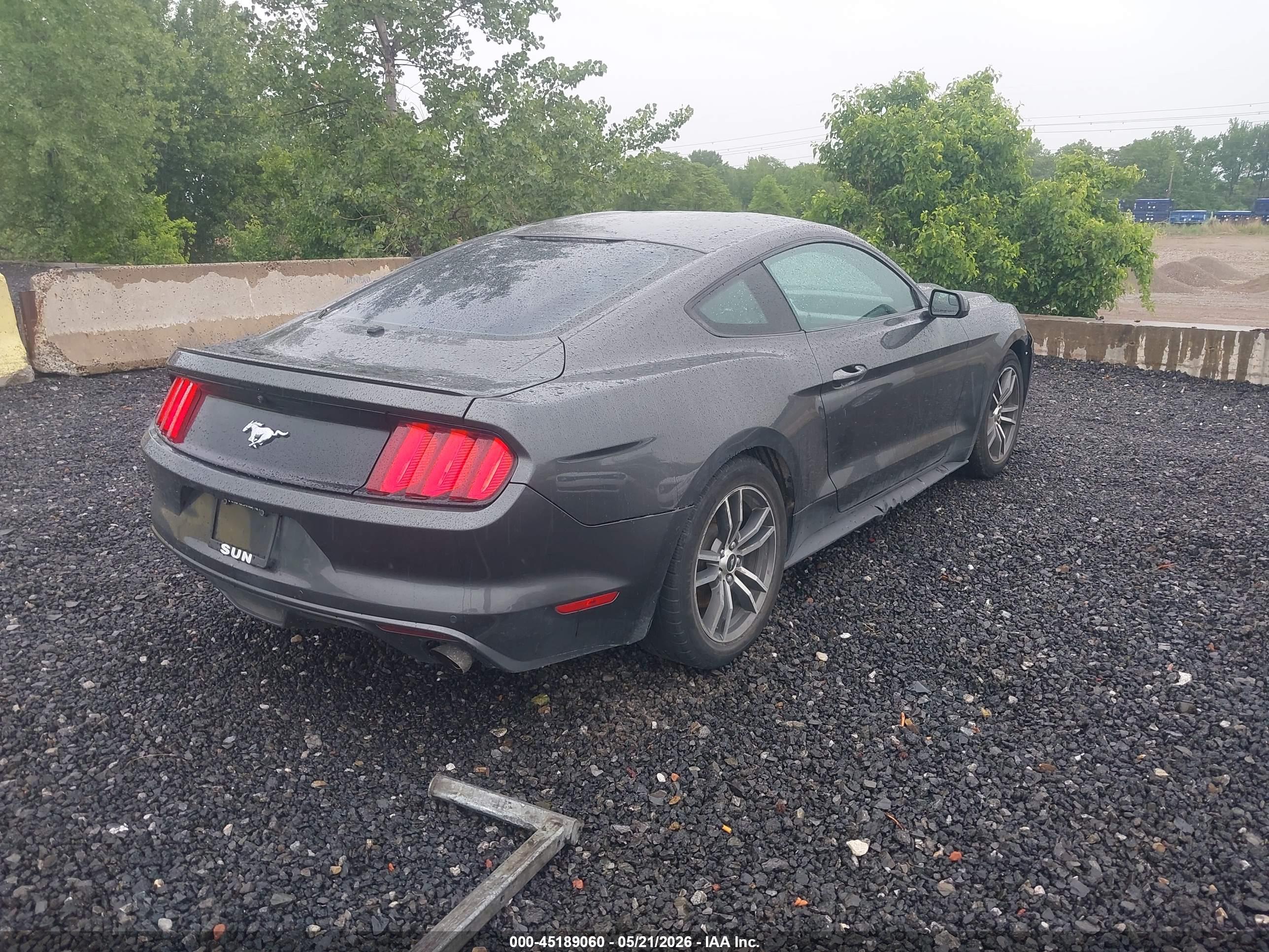 FORD MUSTANG image 4