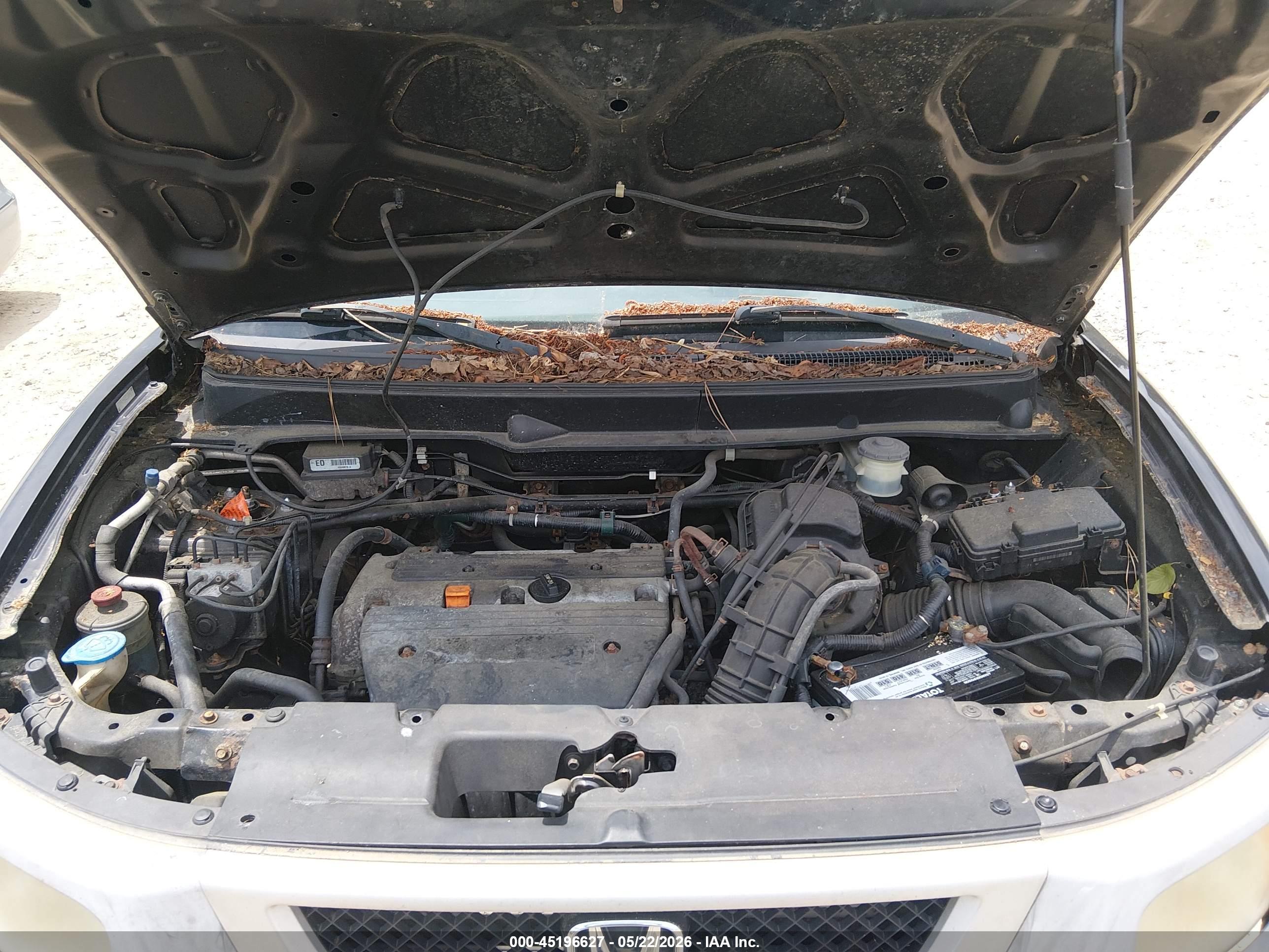HONDA ELEMENT image 10