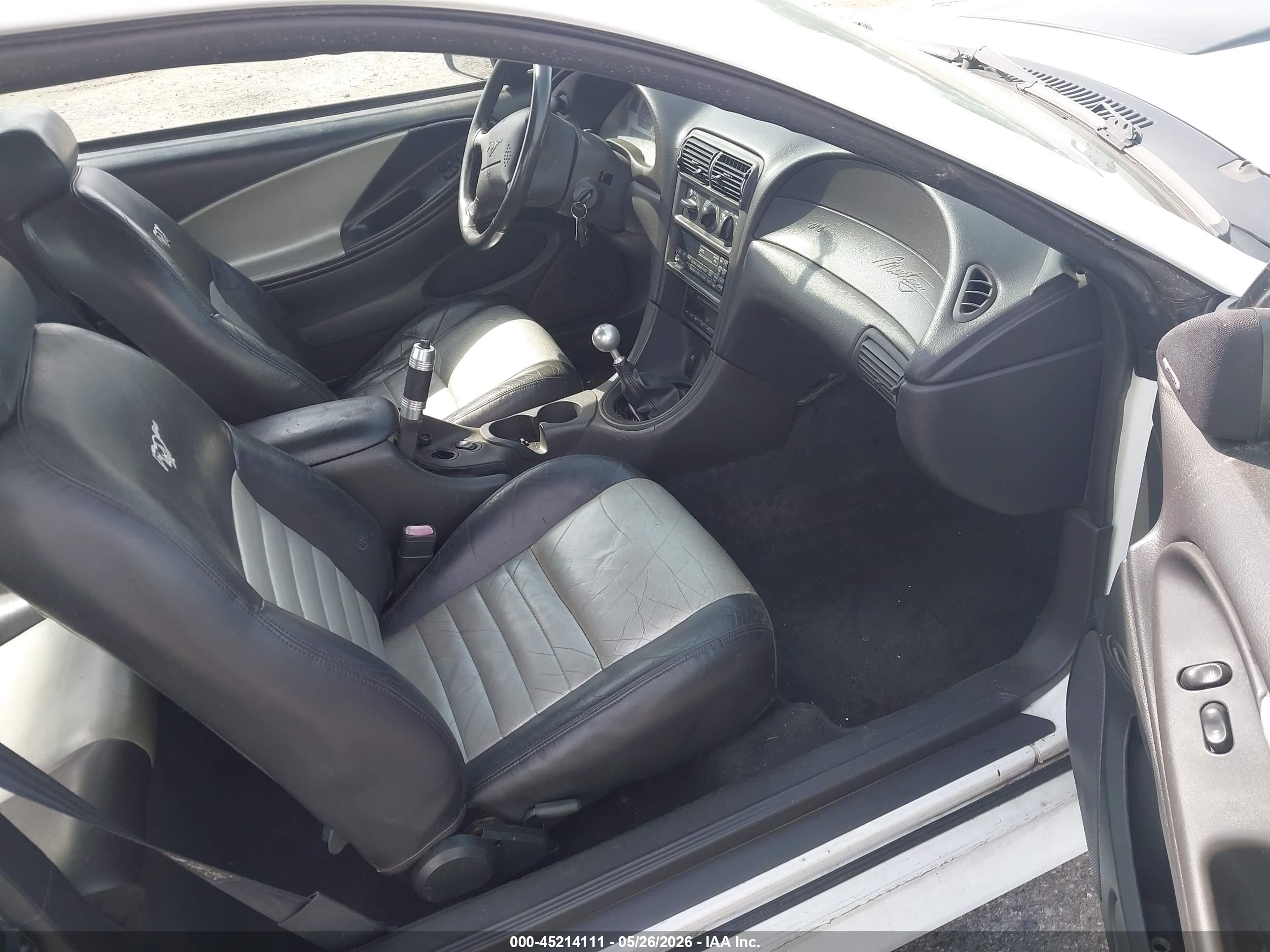 FORD MUSTANG image 5