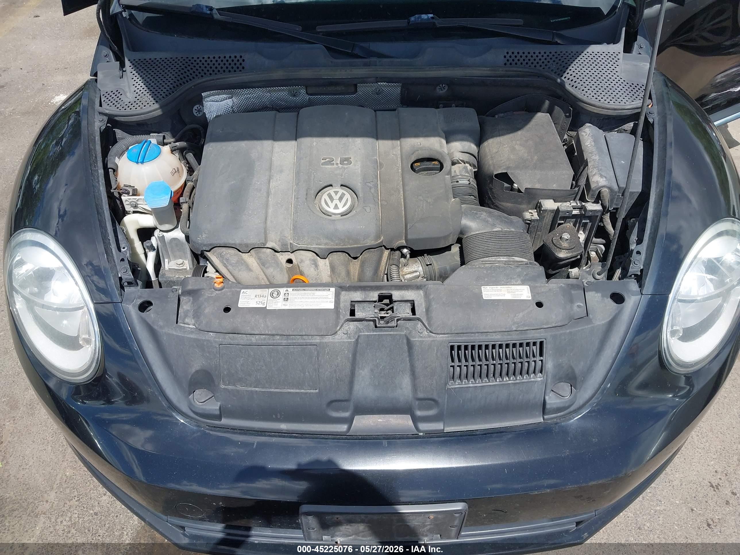 VOLKSWAGEN BEETLE image 10