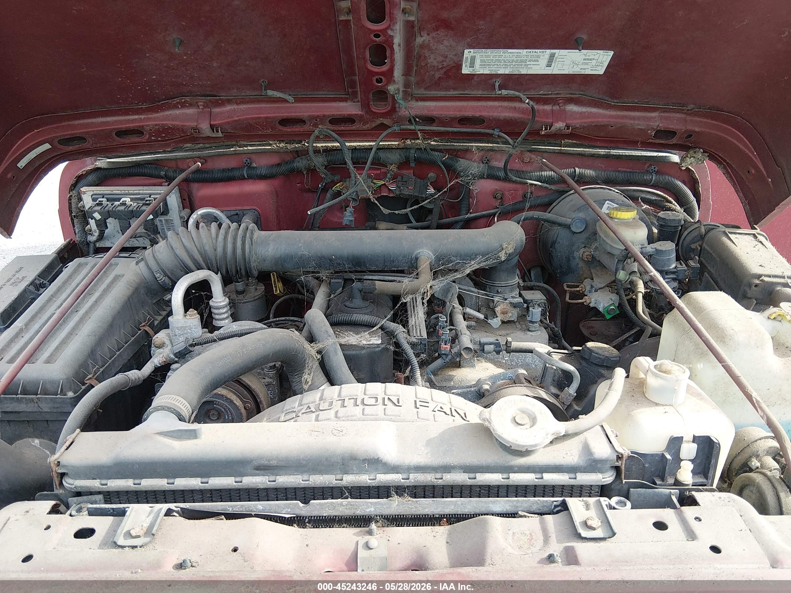 JEEP WRANGLER image 10