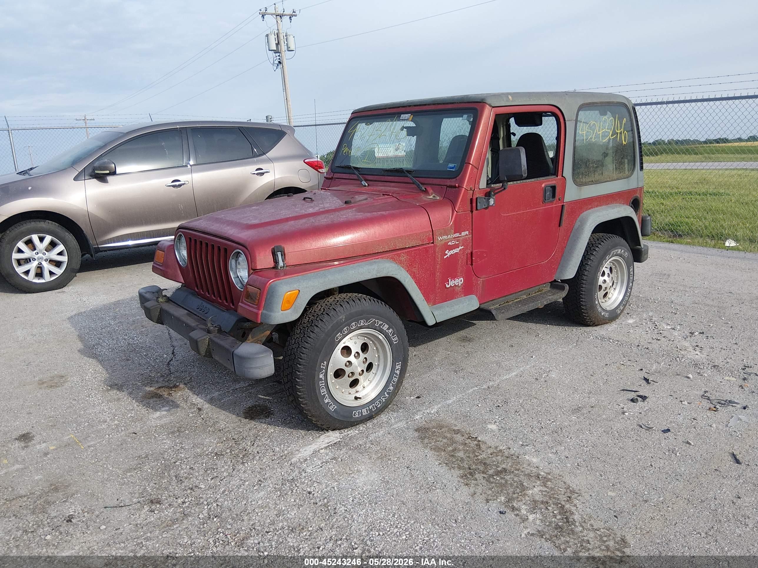 JEEP WRANGLER image 2