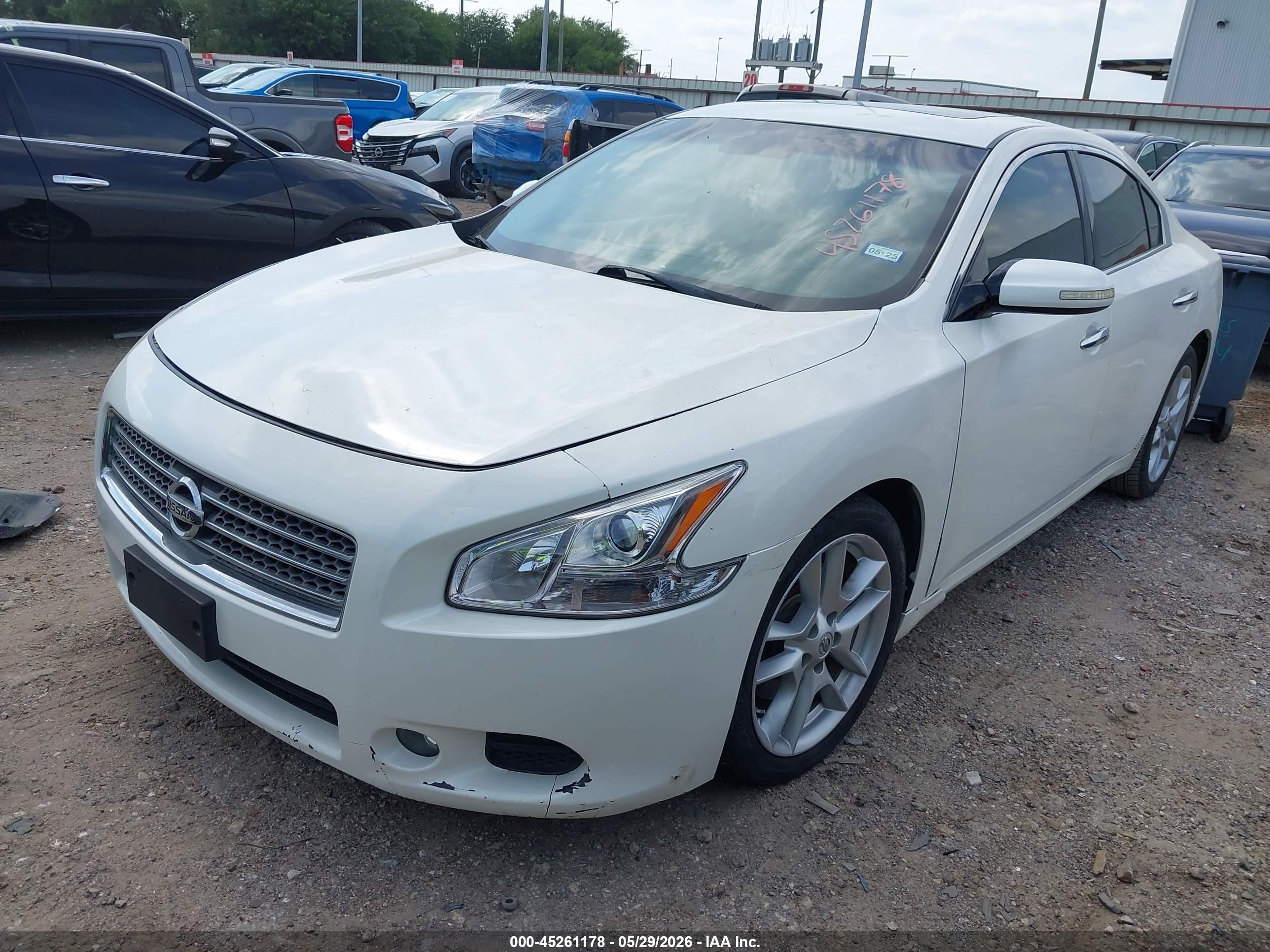 NISSAN MAXIMA image 2