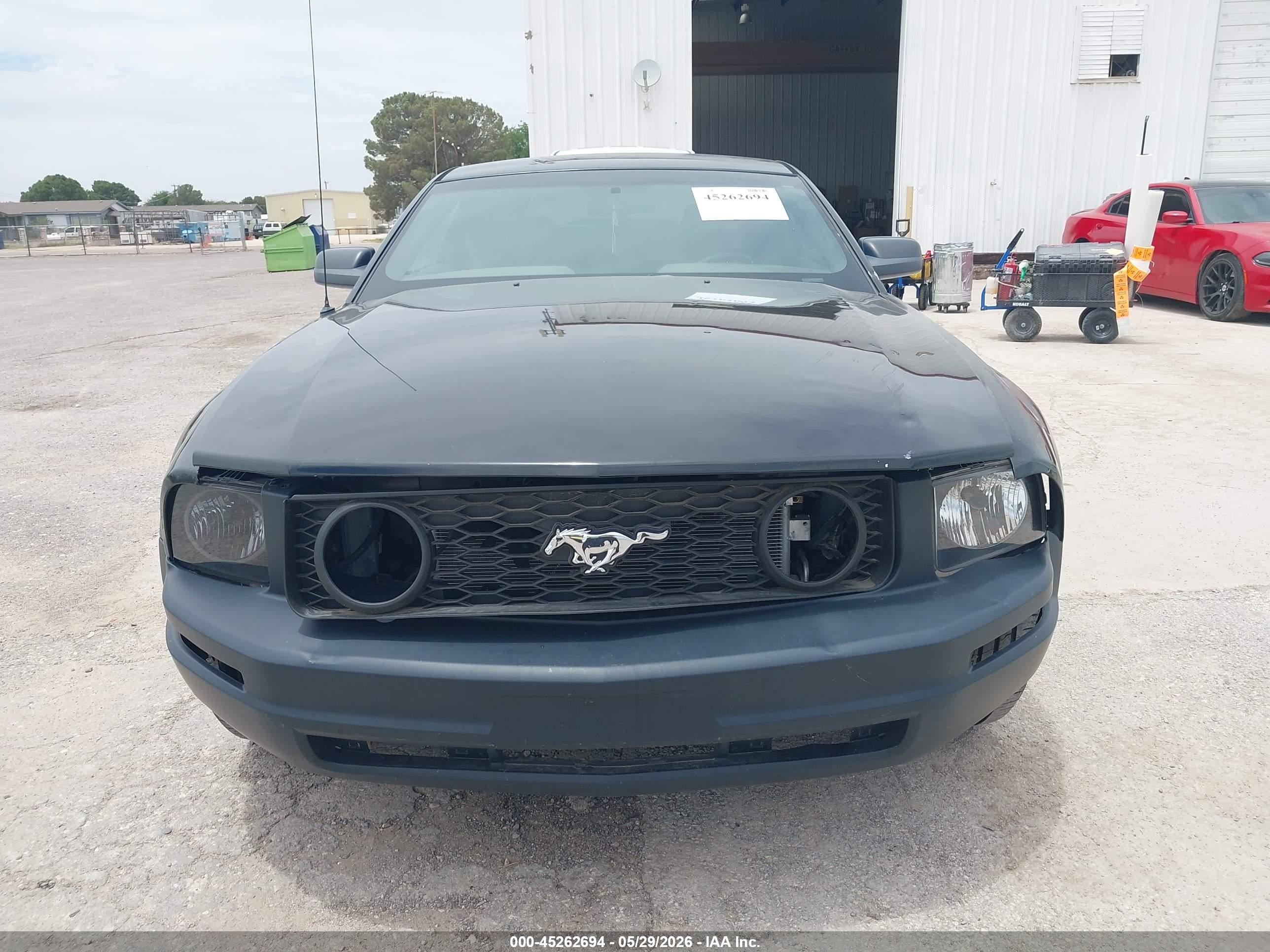 FORD MUSTANG image 6