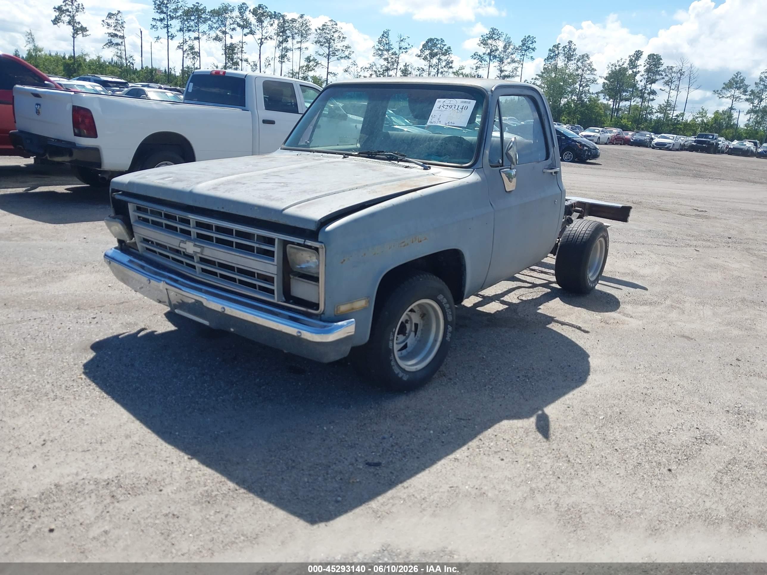 CHEVROLET R10 image 2