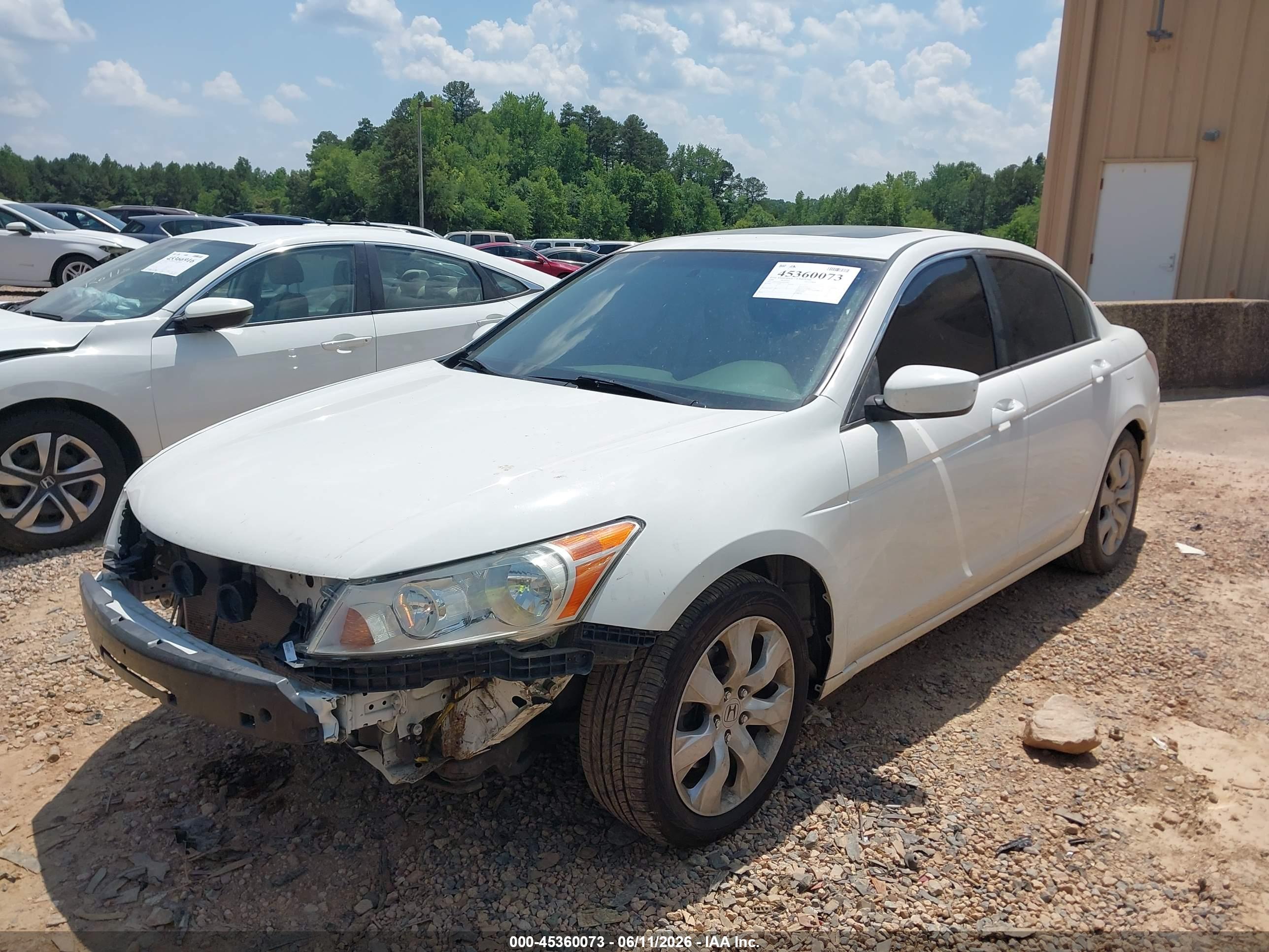 HONDA ACCORD image 2