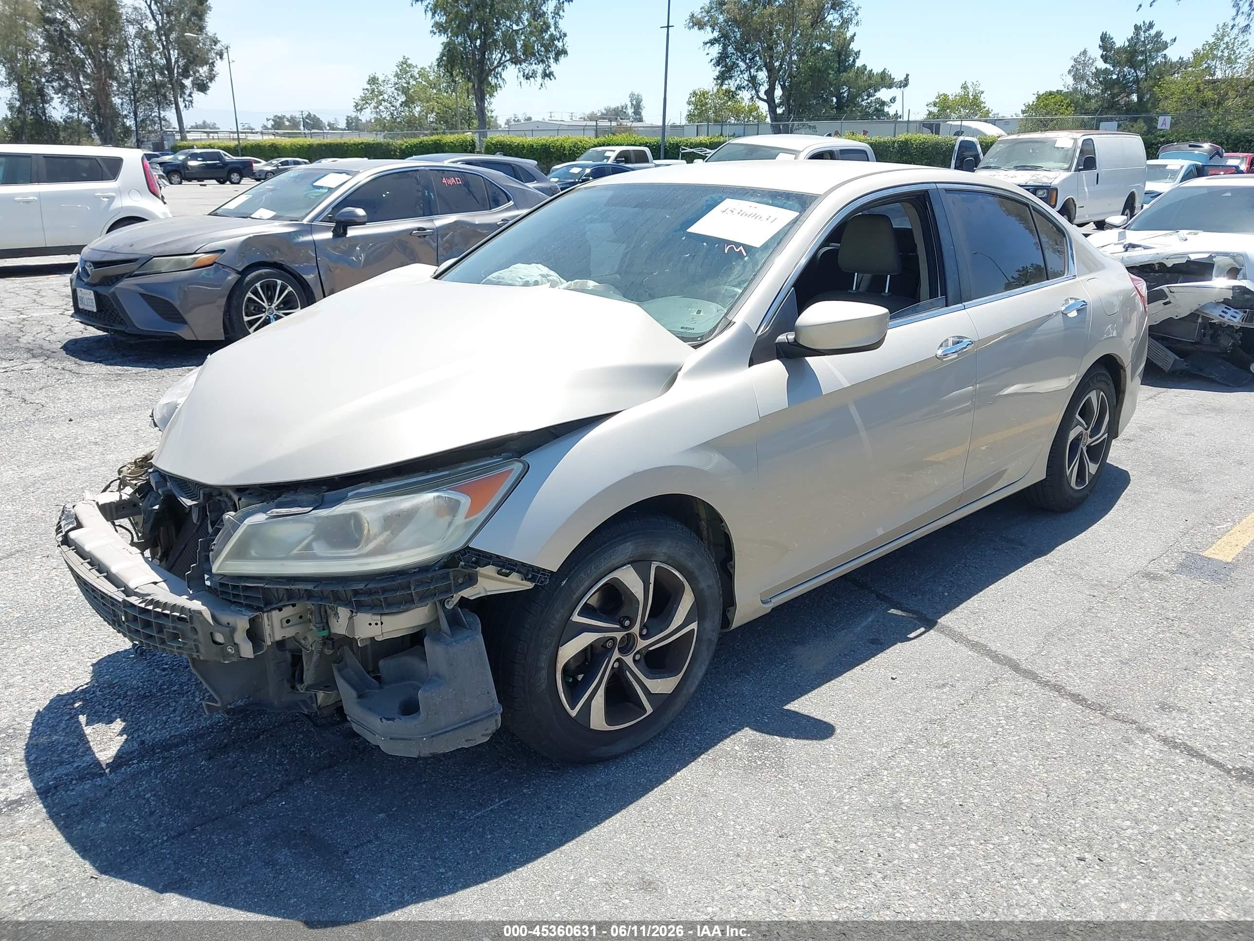 HONDA ACCORD image 2