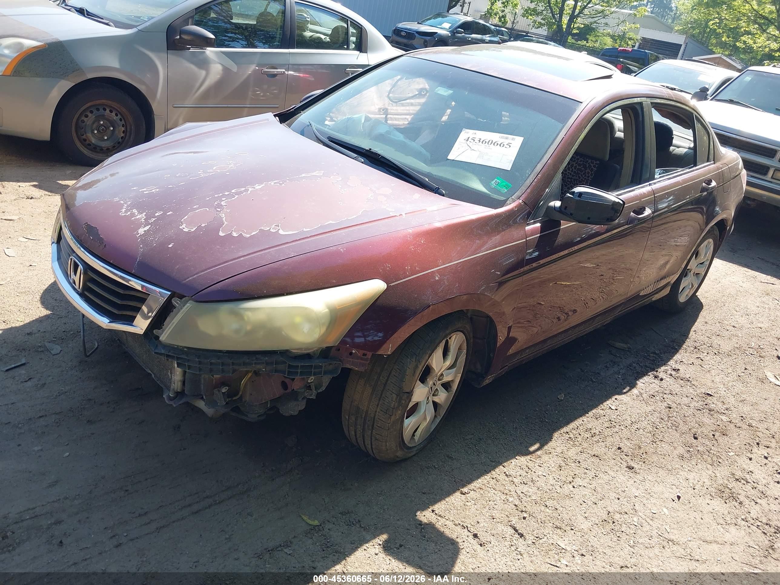 HONDA ACCORD image 2