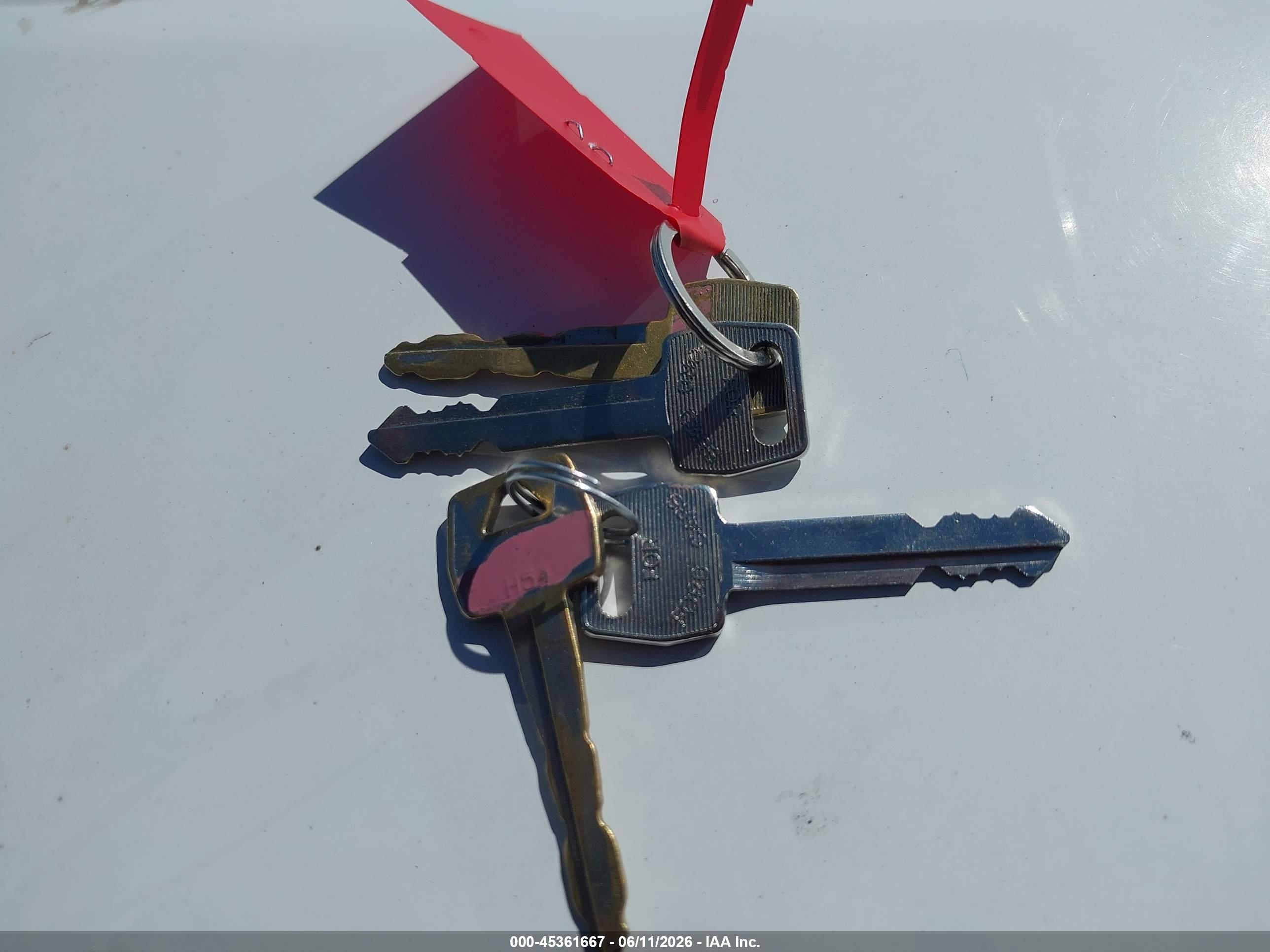FORD RANGER image 11