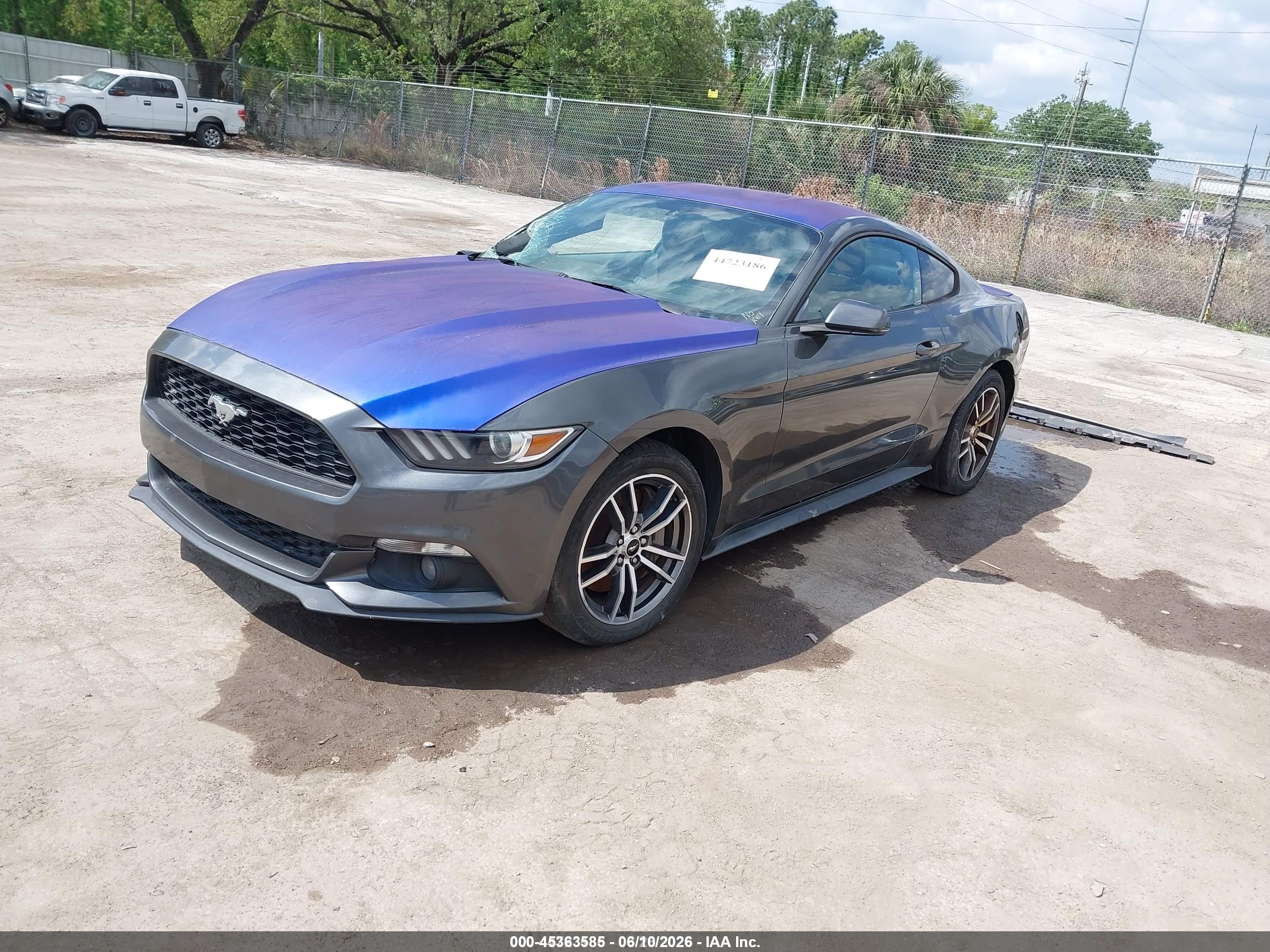 FORD MUSTANG image 2