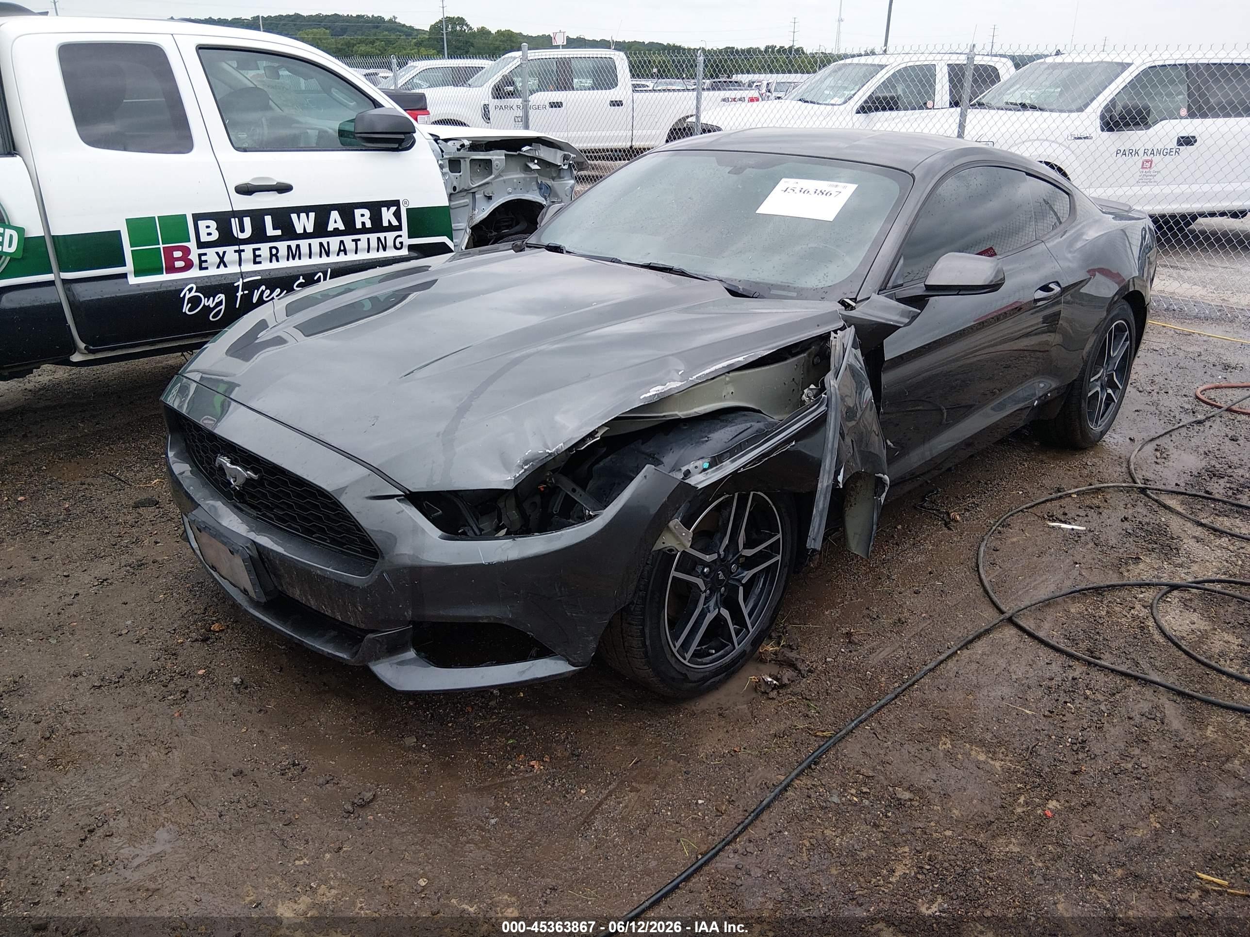 FORD MUSTANG image 2
