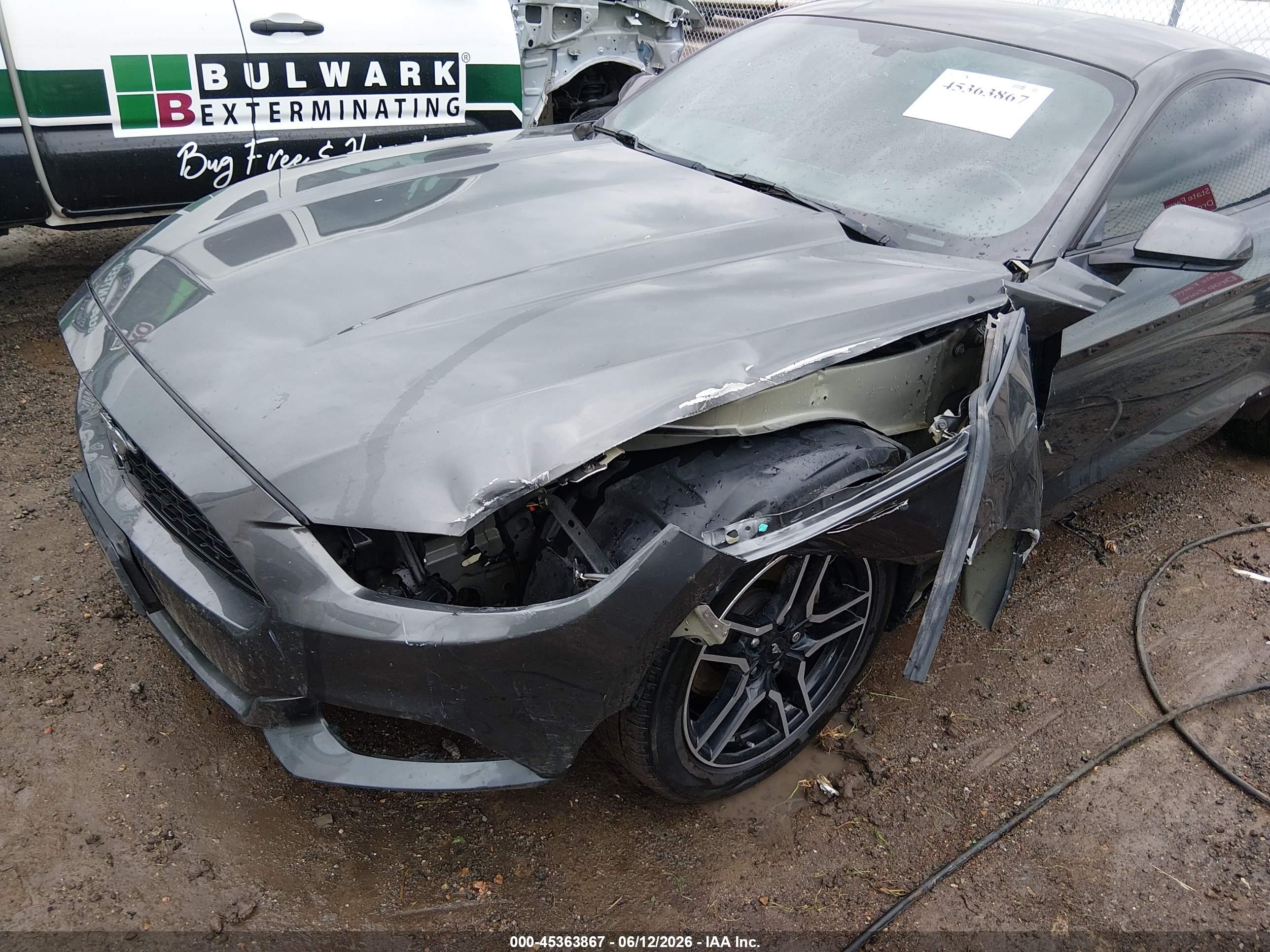 FORD MUSTANG image 6