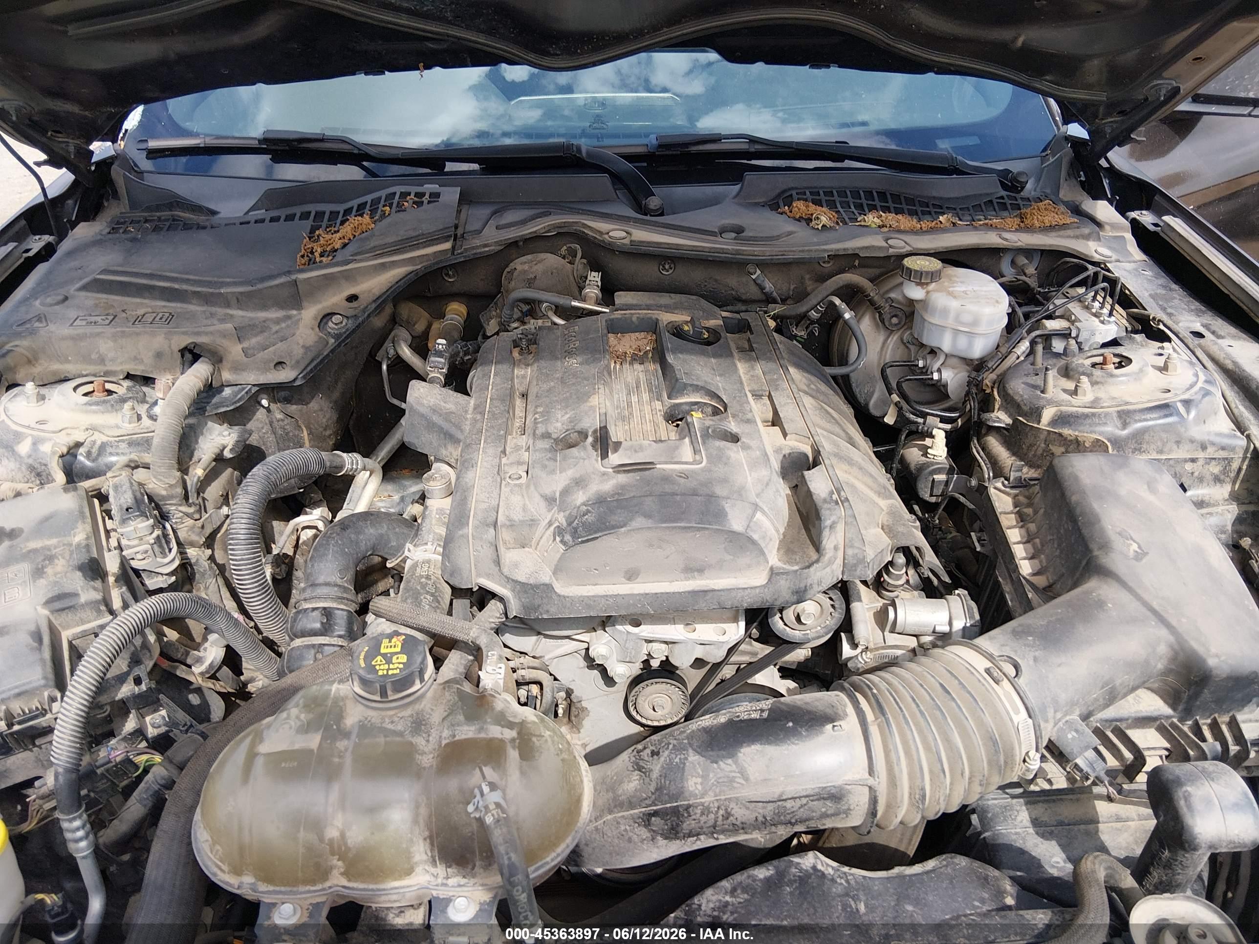 FORD MUSTANG image 10