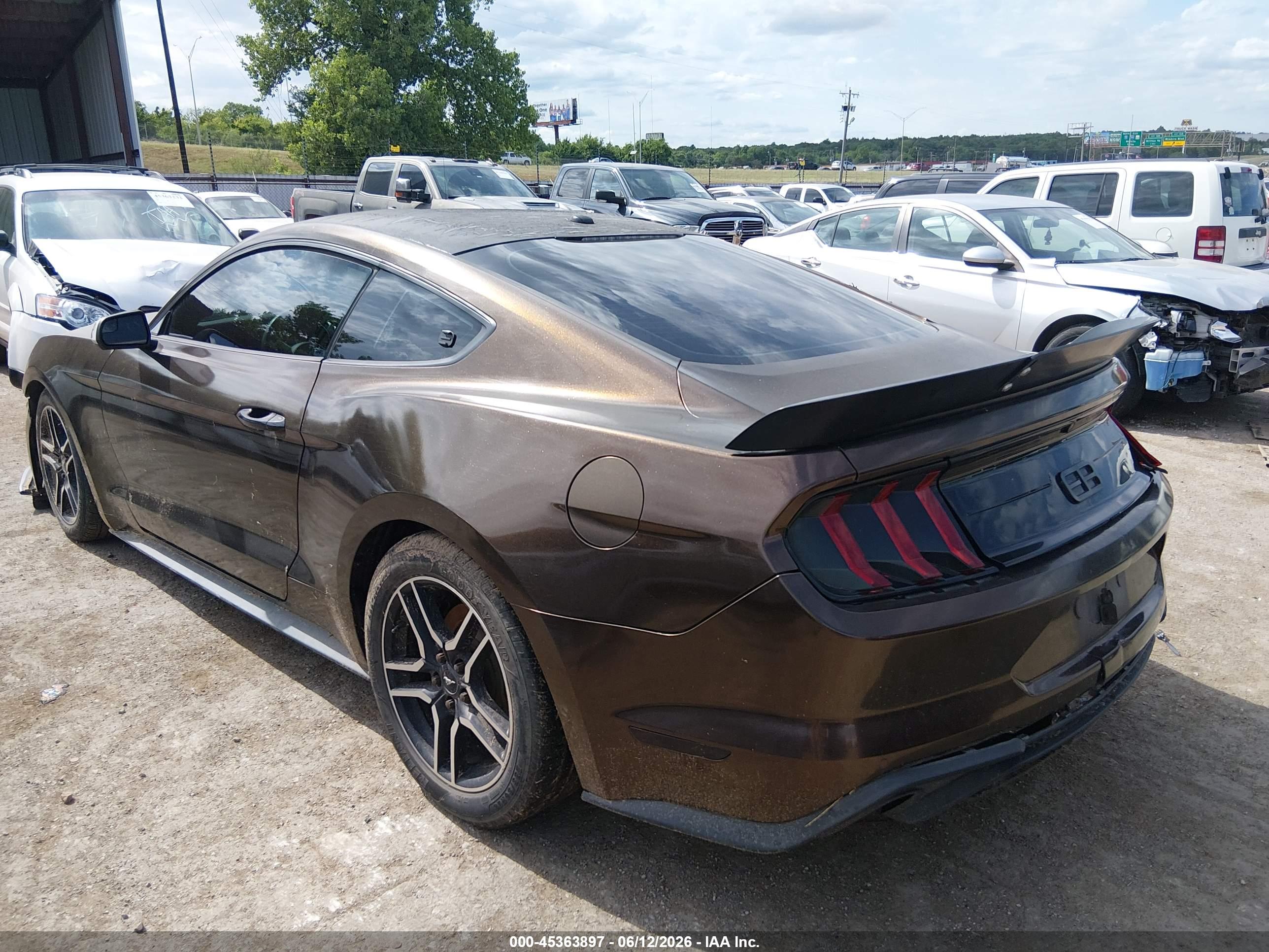 FORD MUSTANG image 3
