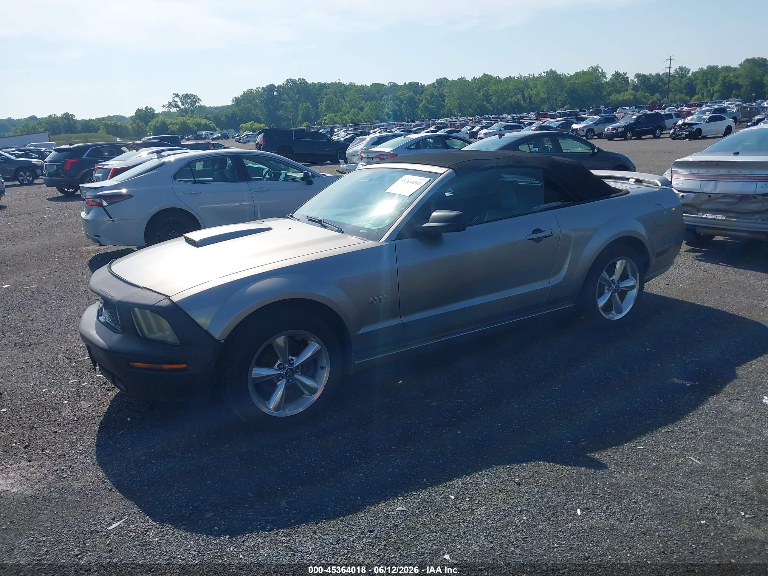 FORD MUSTANG image 2