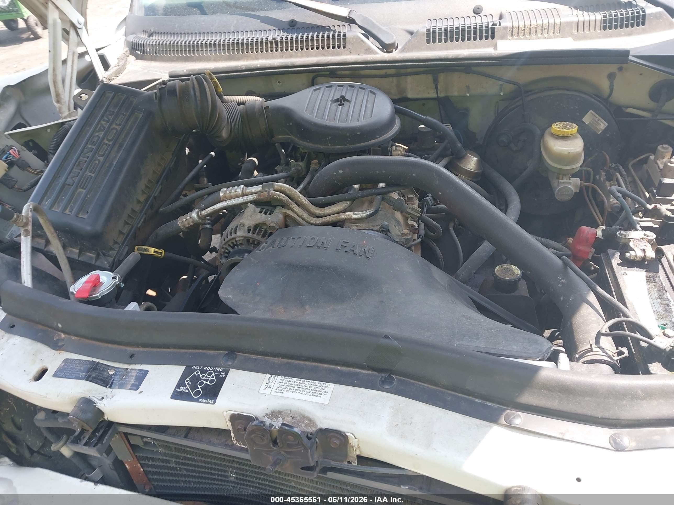 DODGE DAKOTA image 10