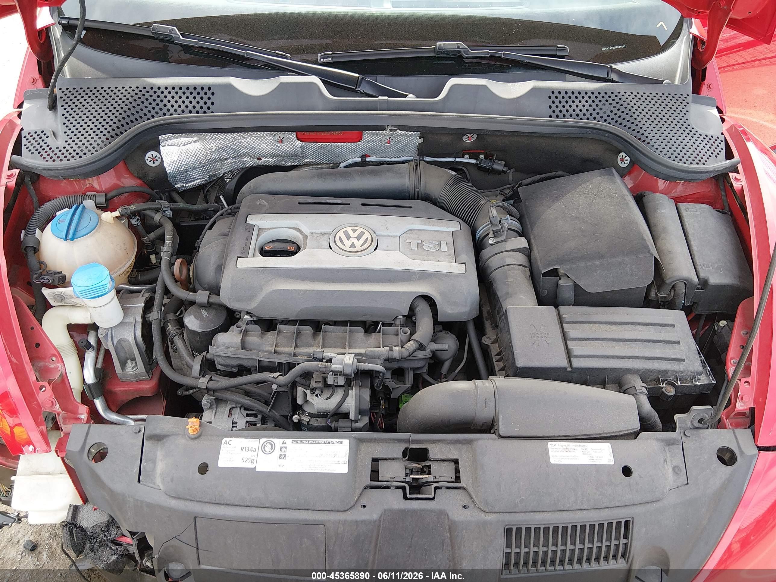 VOLKSWAGEN BEETLE image 10