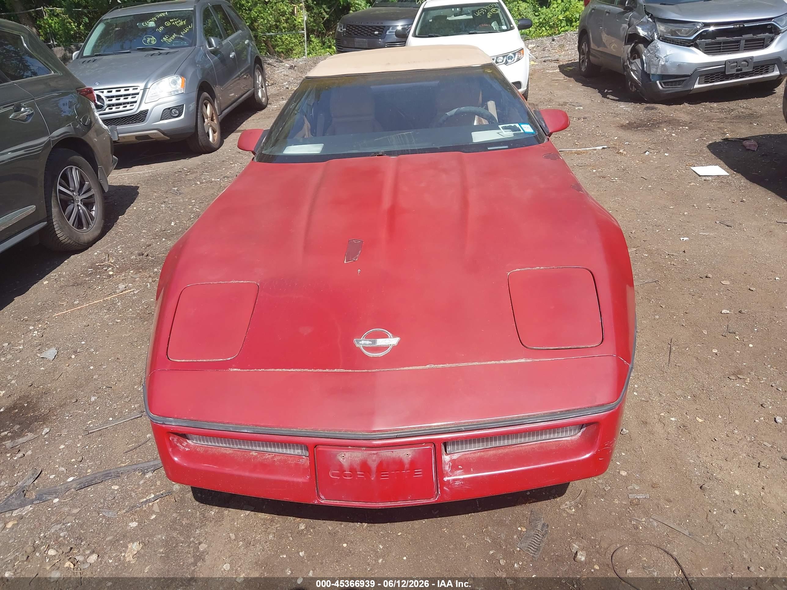 CHEVROLET CORVETTE image 6