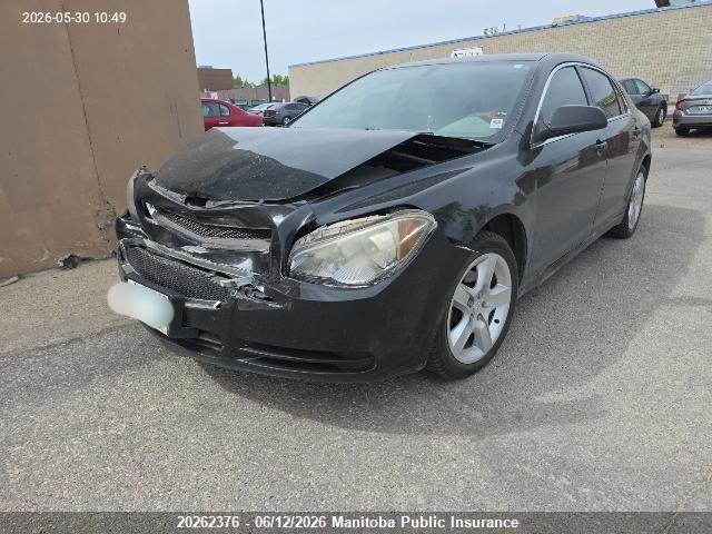 CHEVROLET MALIBU image 2