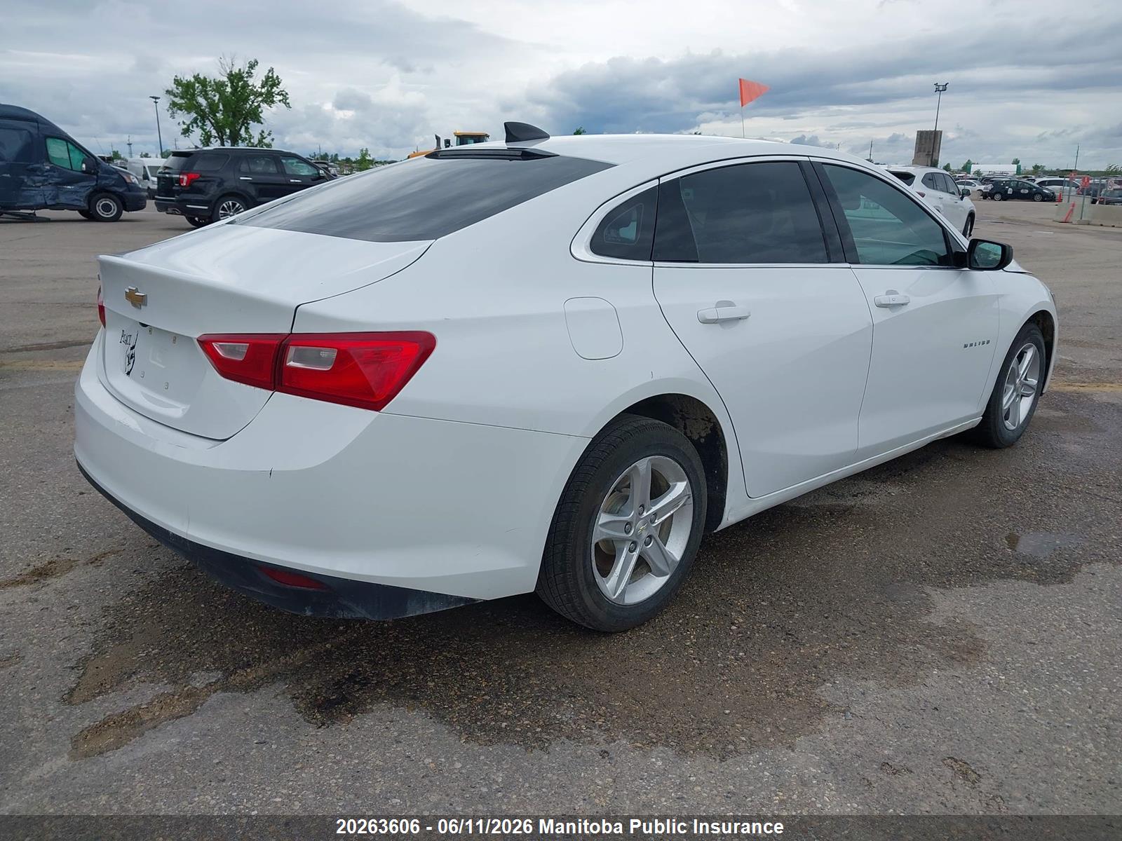 CHEVROLET MALIBU image 4