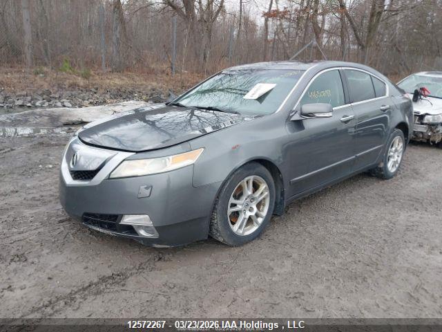ACURA TL image 3