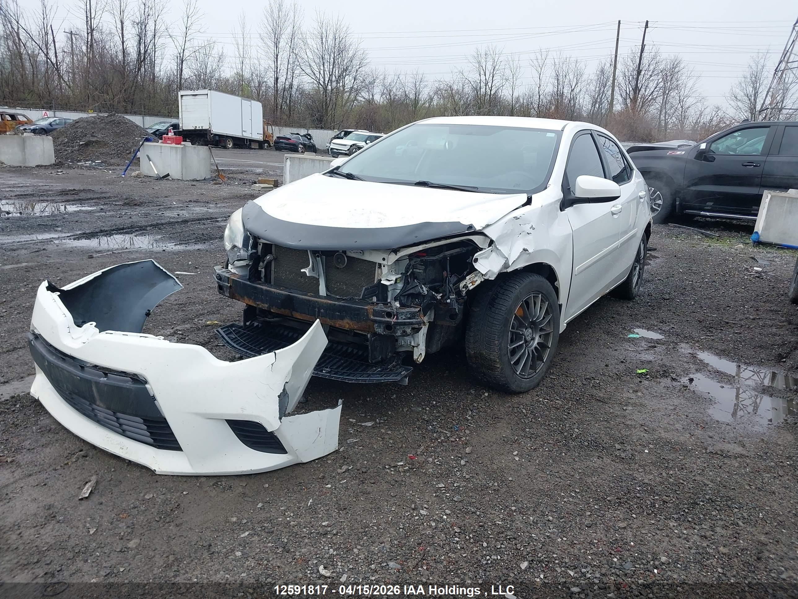 TOYOTA COROLLA image 2