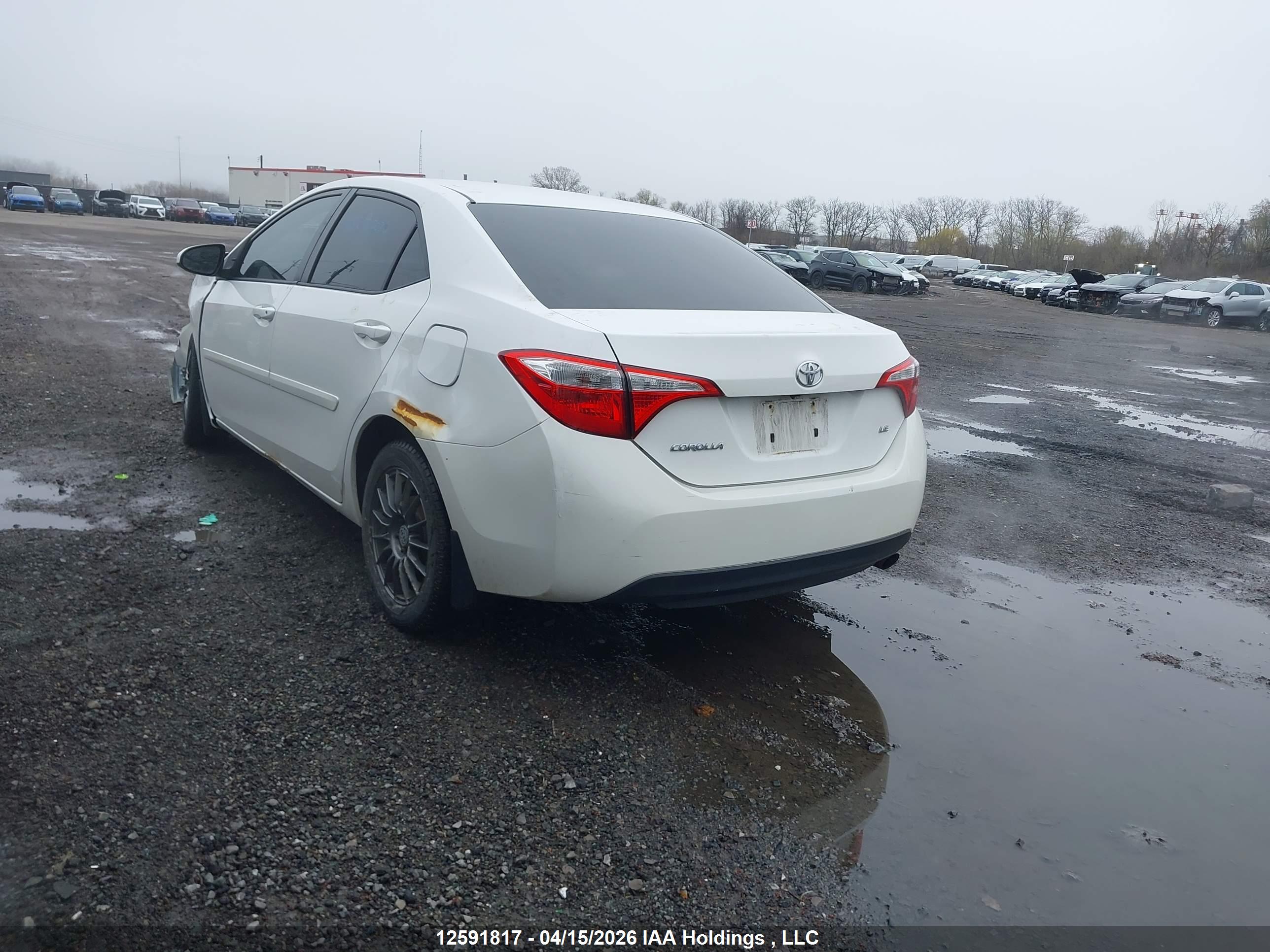 TOYOTA COROLLA image 3