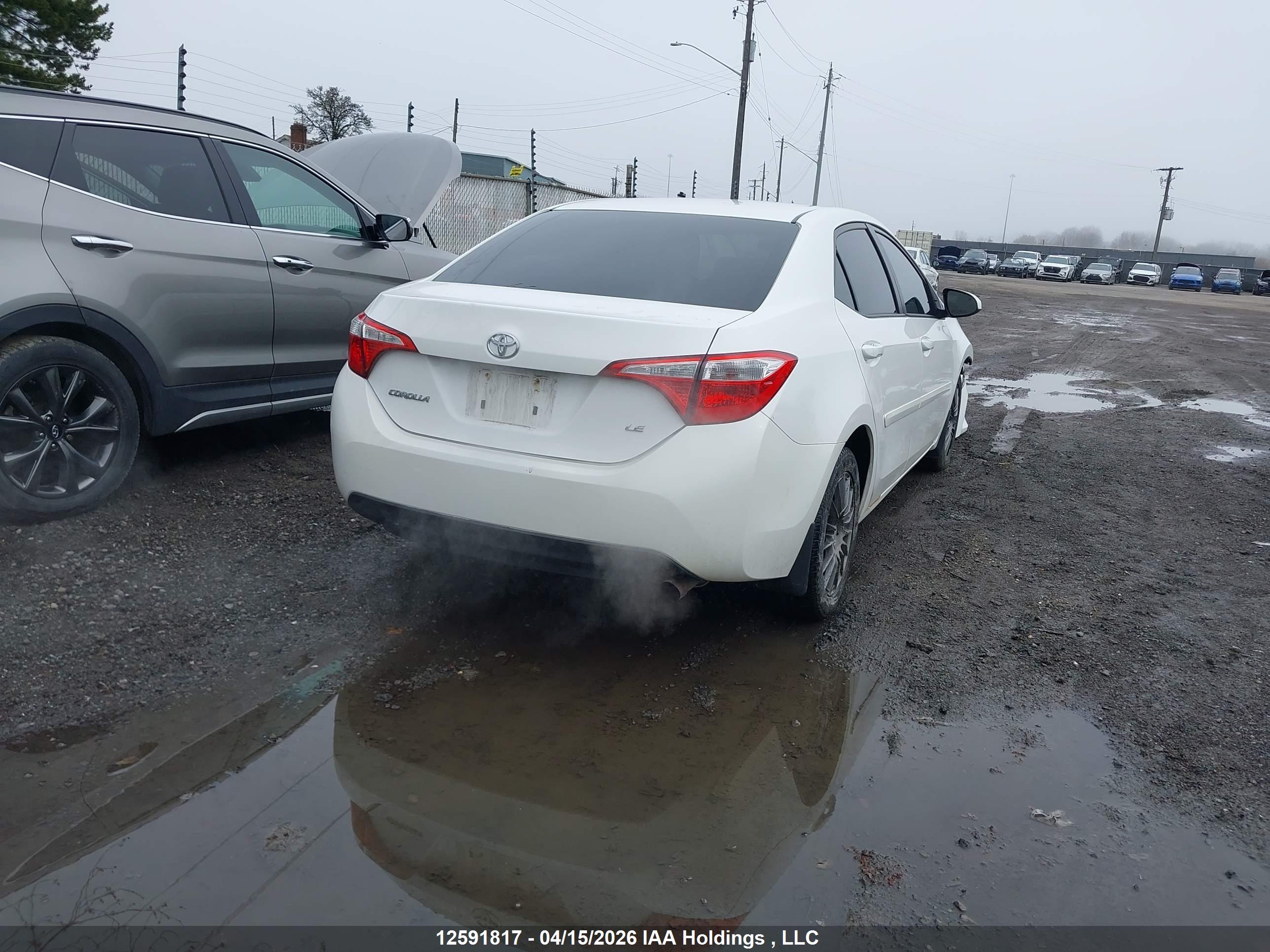 TOYOTA COROLLA image 4