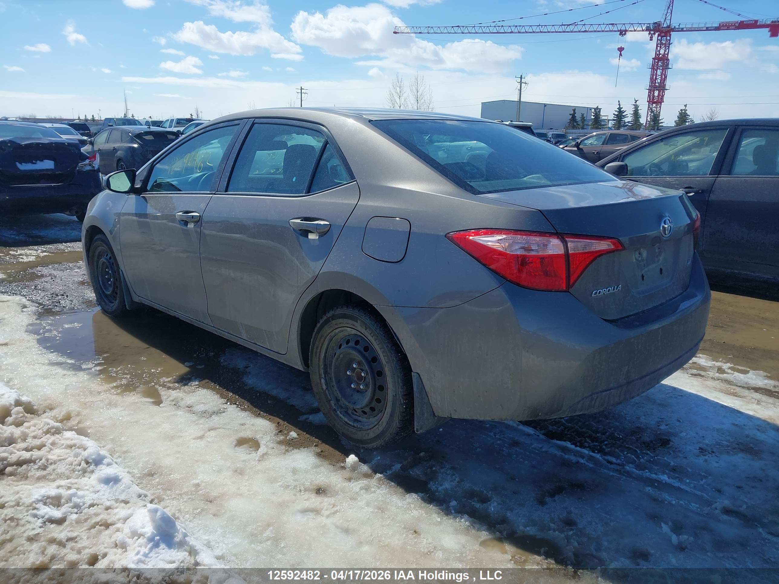TOYOTA COROLLA image 3
