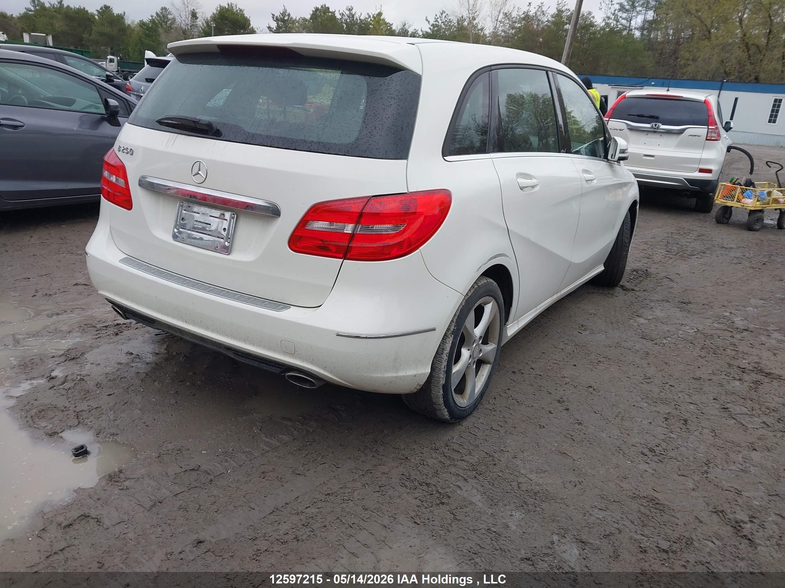 MERCEDES-BENZ B250 image 4