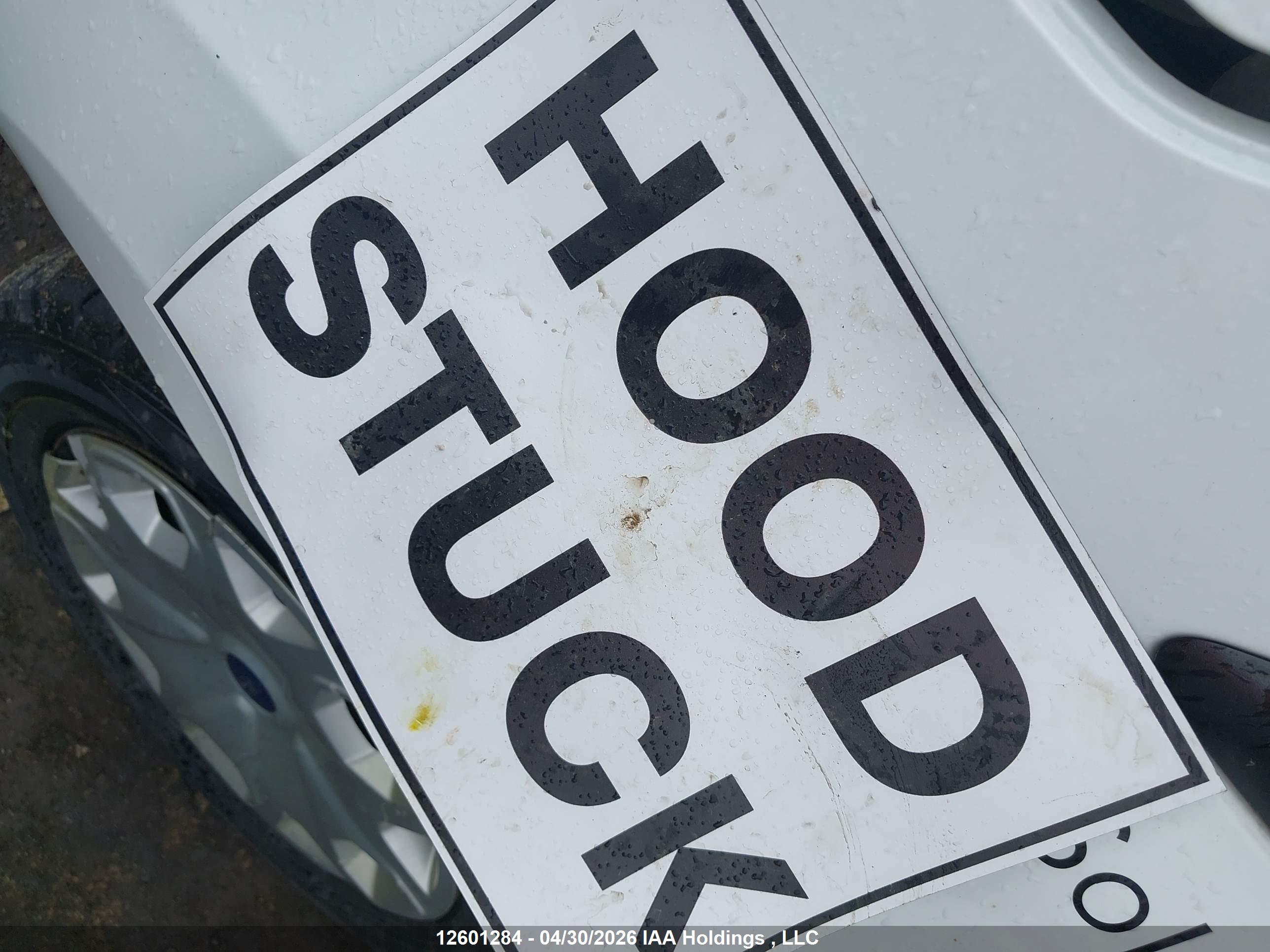 FORD FOCUS image 10